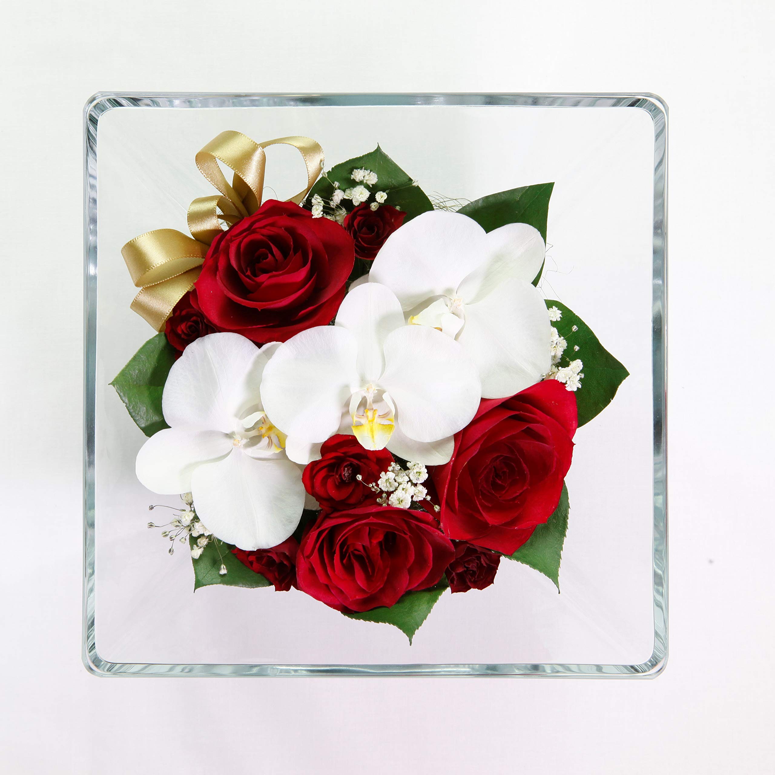 Amazon｜ブリスアンドヒル(Bliss&Hill) ドライフラワー ホワイト