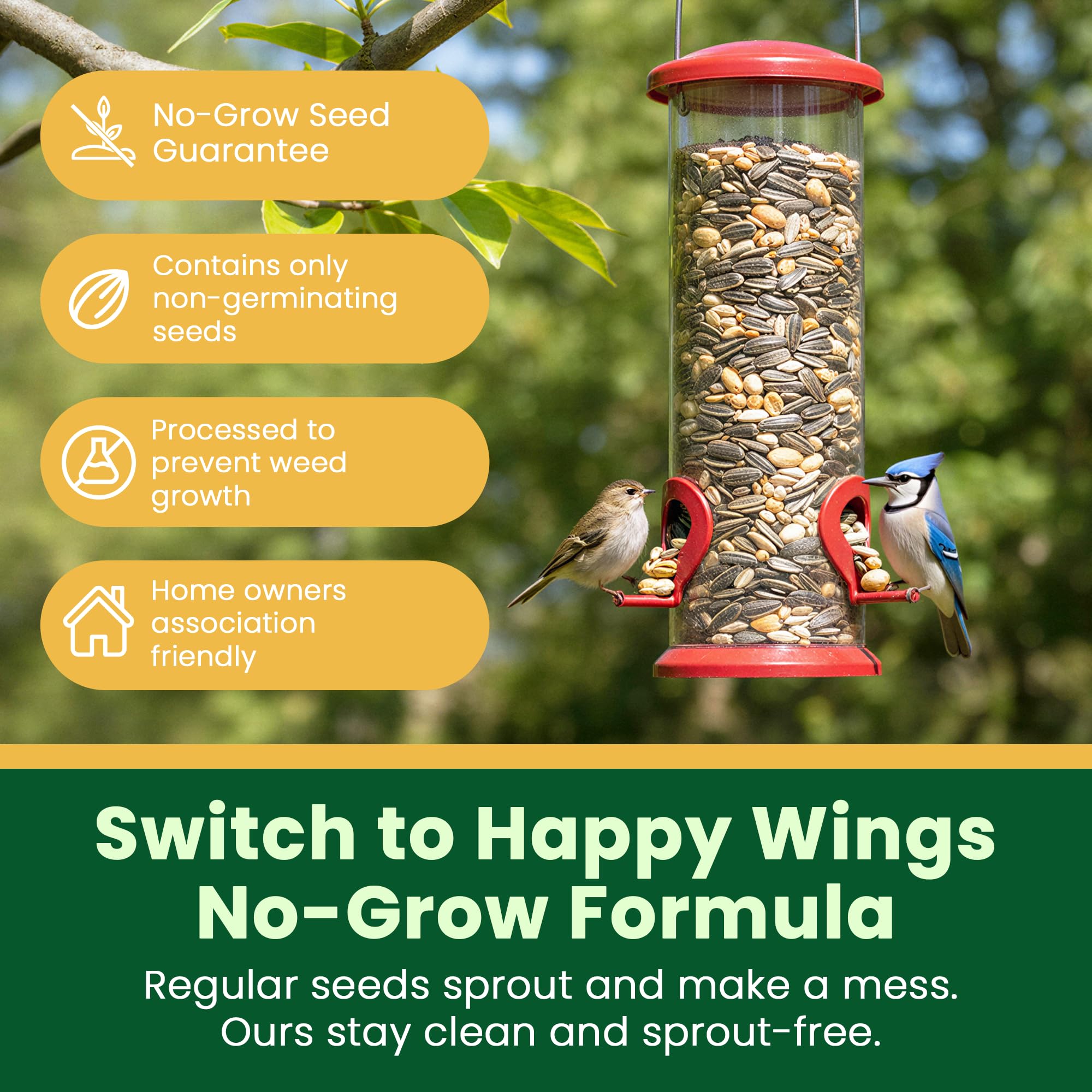 Happy Wings Comida para pájaros cantores sin crecimiento (mezcla de semillas de girasol/granos, semillas de cártamo y cacahuetes) - Alimento para pájaros altamente nutritivo (5 libras)