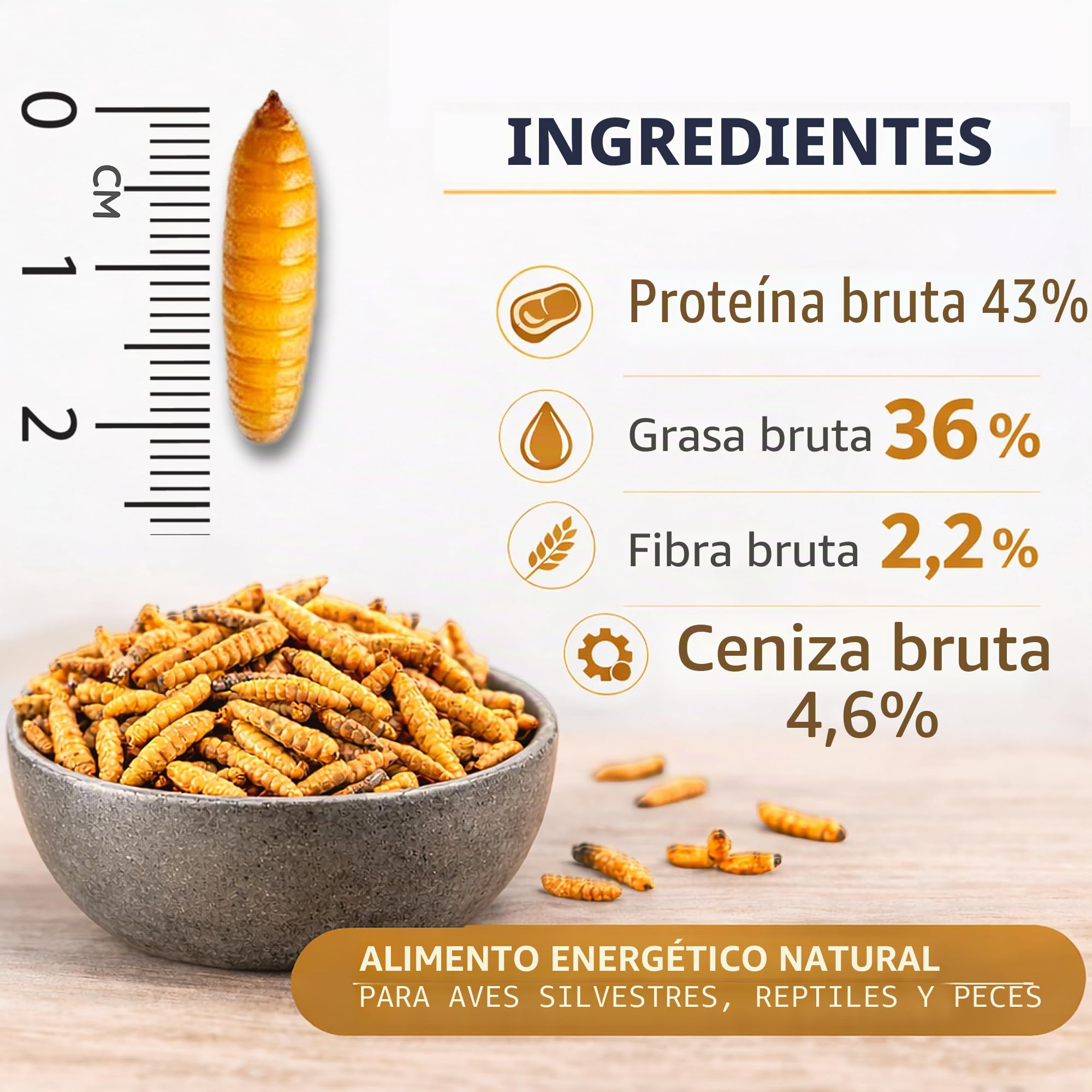 Larvas de mosca de soldado secas 2 kg (equivalente a 13 litros) Alimento para pájaros, erizos y peces, aperitivo rico en proteínas