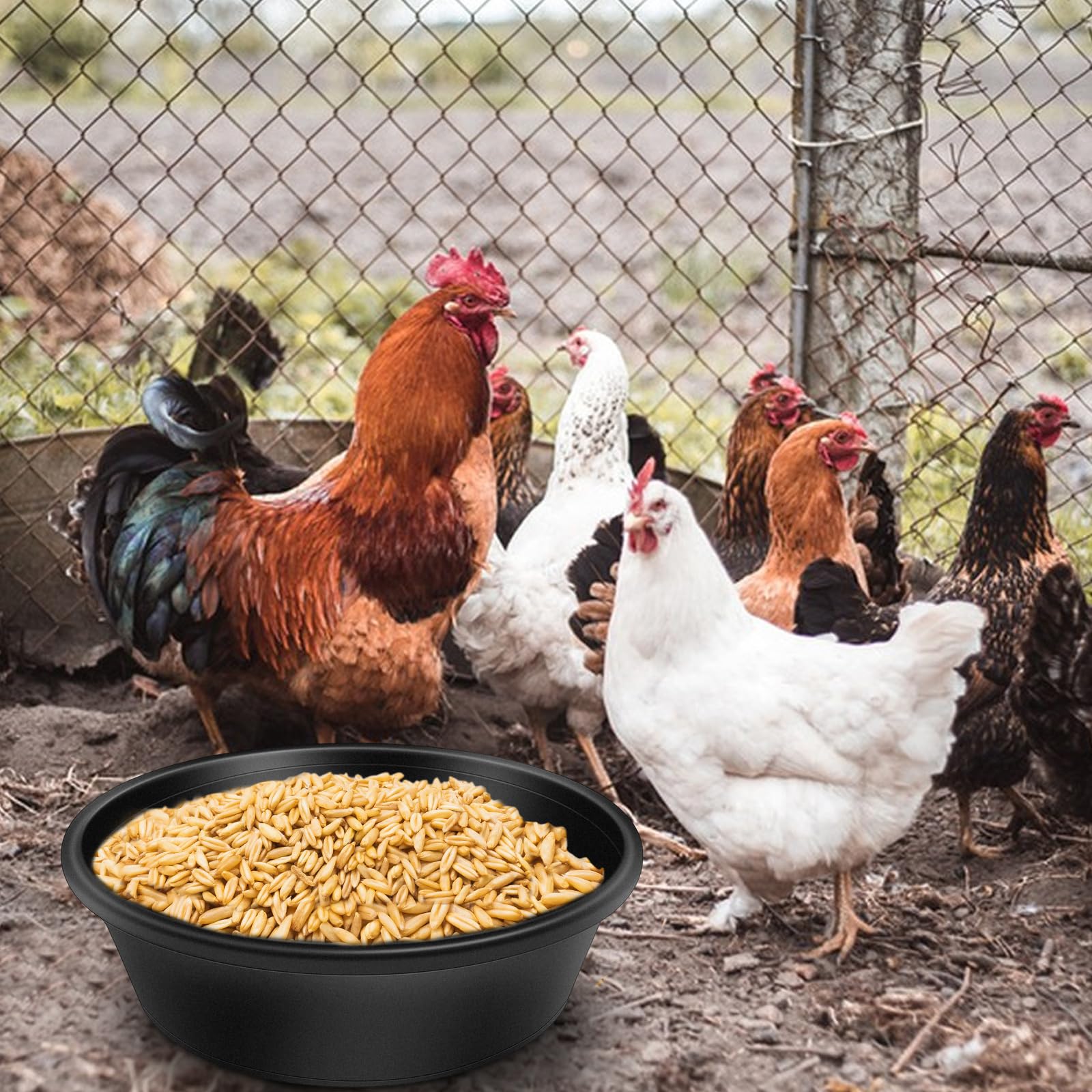 Lot de 4 mangeoires en caoutchouc durable de 4 litres, seau d'alimentation en caoutchouc résistant pour chevaux, chèvres, poulets, chats, chiens, conteneurs de bain pour animaux