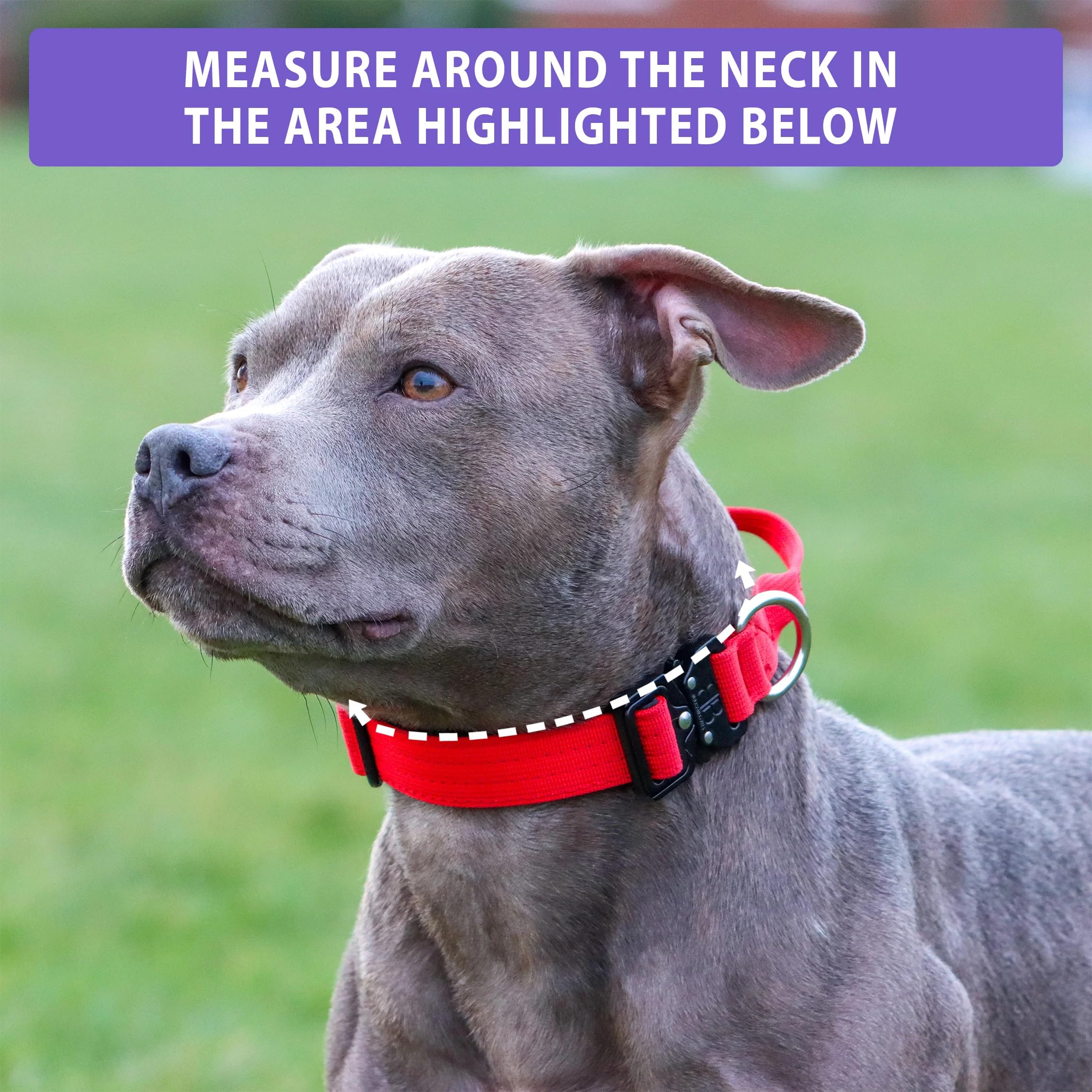 BullyBillows Dog Collar, Metal Grey, XSmall-Medium - Image 2