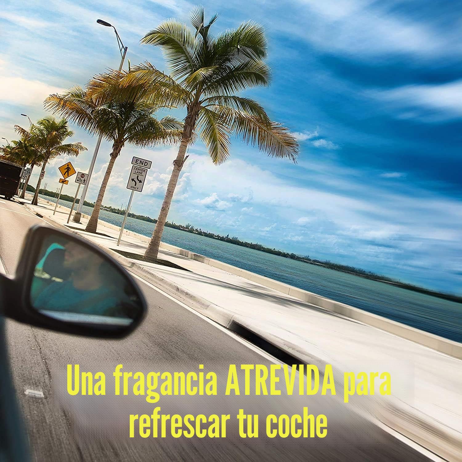 California Scents - Ambientadores de Coche con Fragancia, Olor y Esencias a Bárbara Berry, Olor de las Moras de Barbara Berry para Coche, Pack 12 Latas
