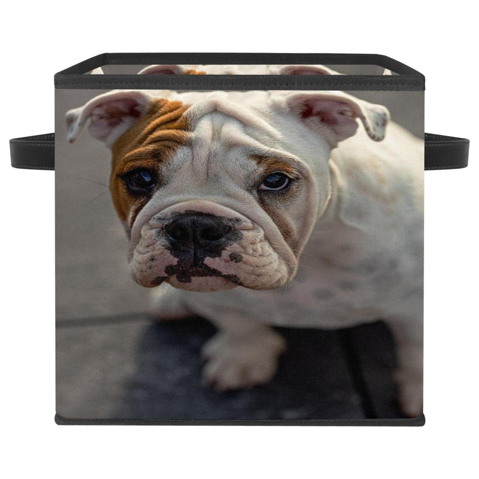 Boîte de rangement pliable pour jouets et vêtements de la chambre au placard