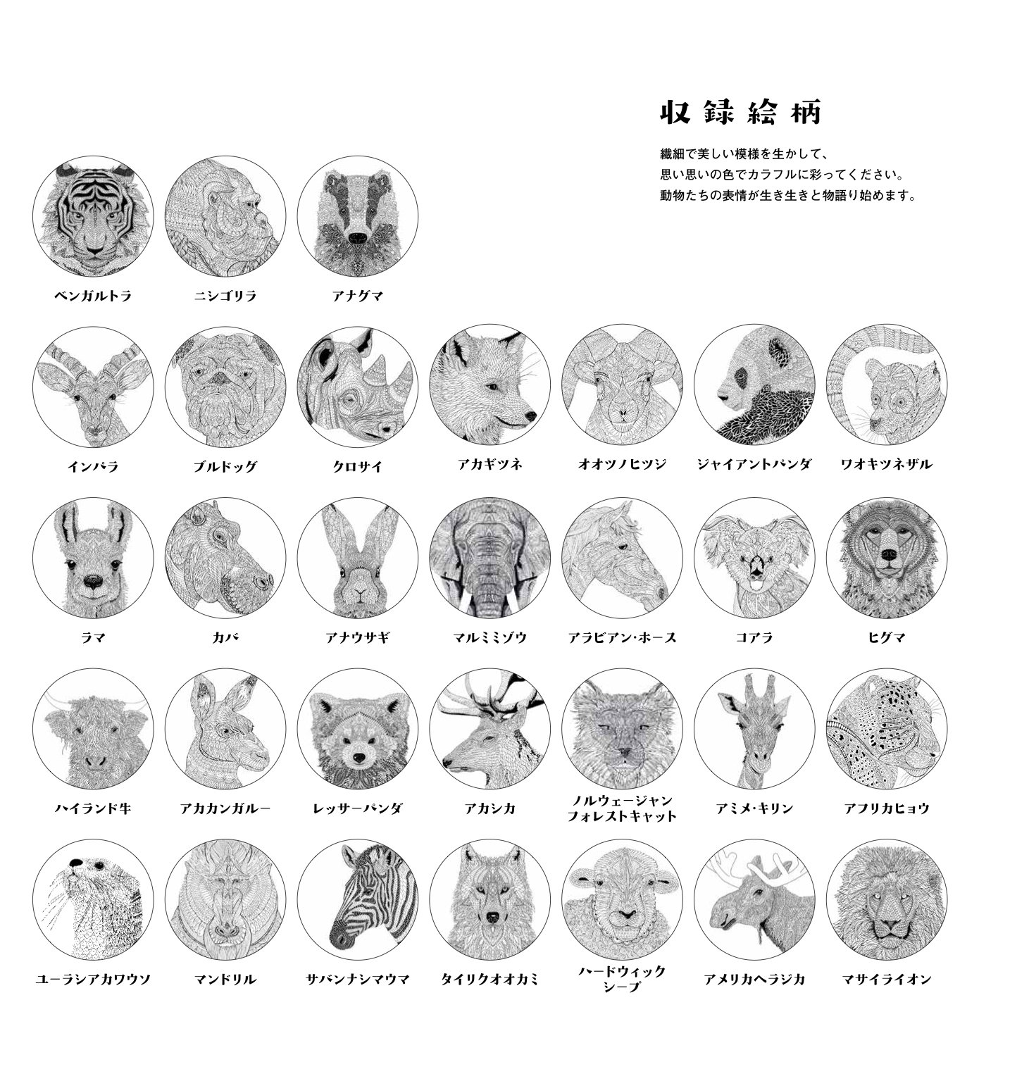 美しい模様の動物塗り絵 大人の塗り絵シリーズ Scully Claire Merritt Richard スカリー クレア メリット リチャード 本 通販 Amazon