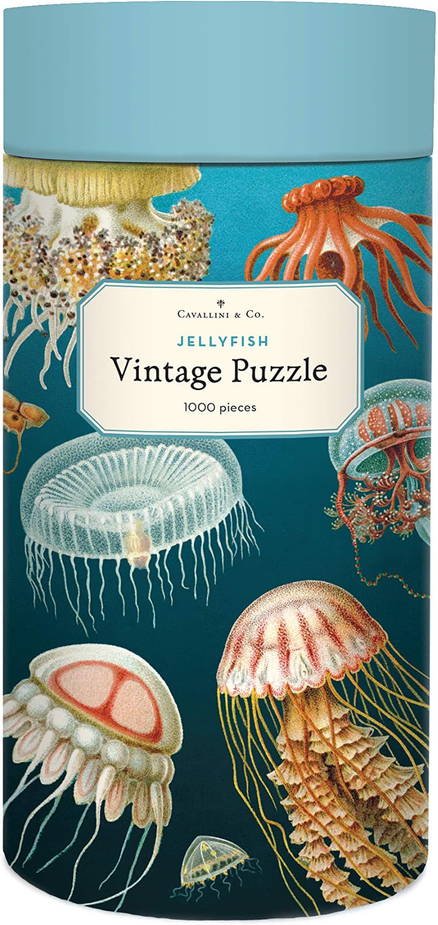 Cavallini PZL Jelly Fish 1,000 Piece Puzzle, Multi, 1000