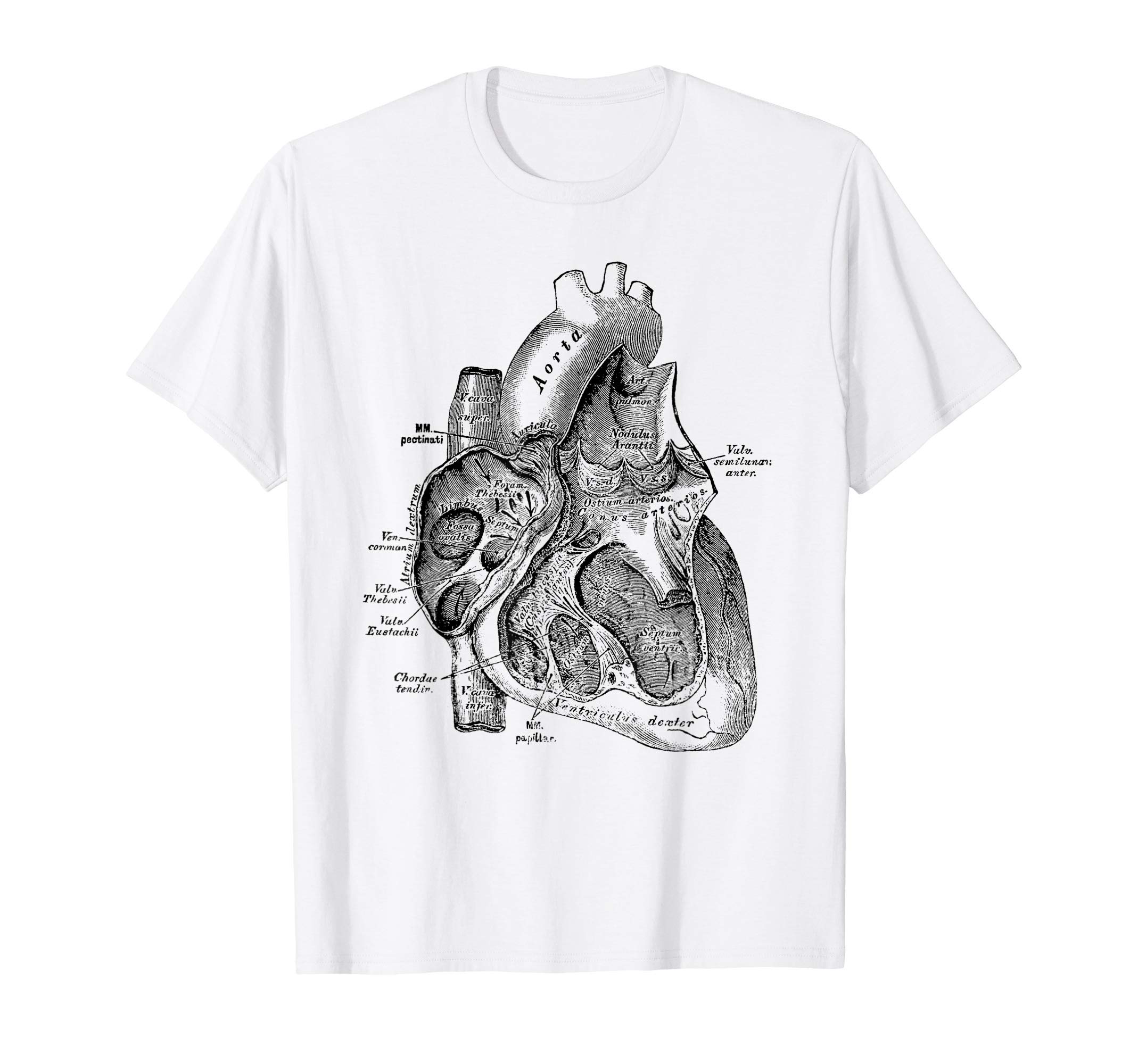 Vintage Heart TeesRight Chamber of the Human Heart Anatomy Tee T-shirt T-ShirtOEKO-TEX STANDARD 100