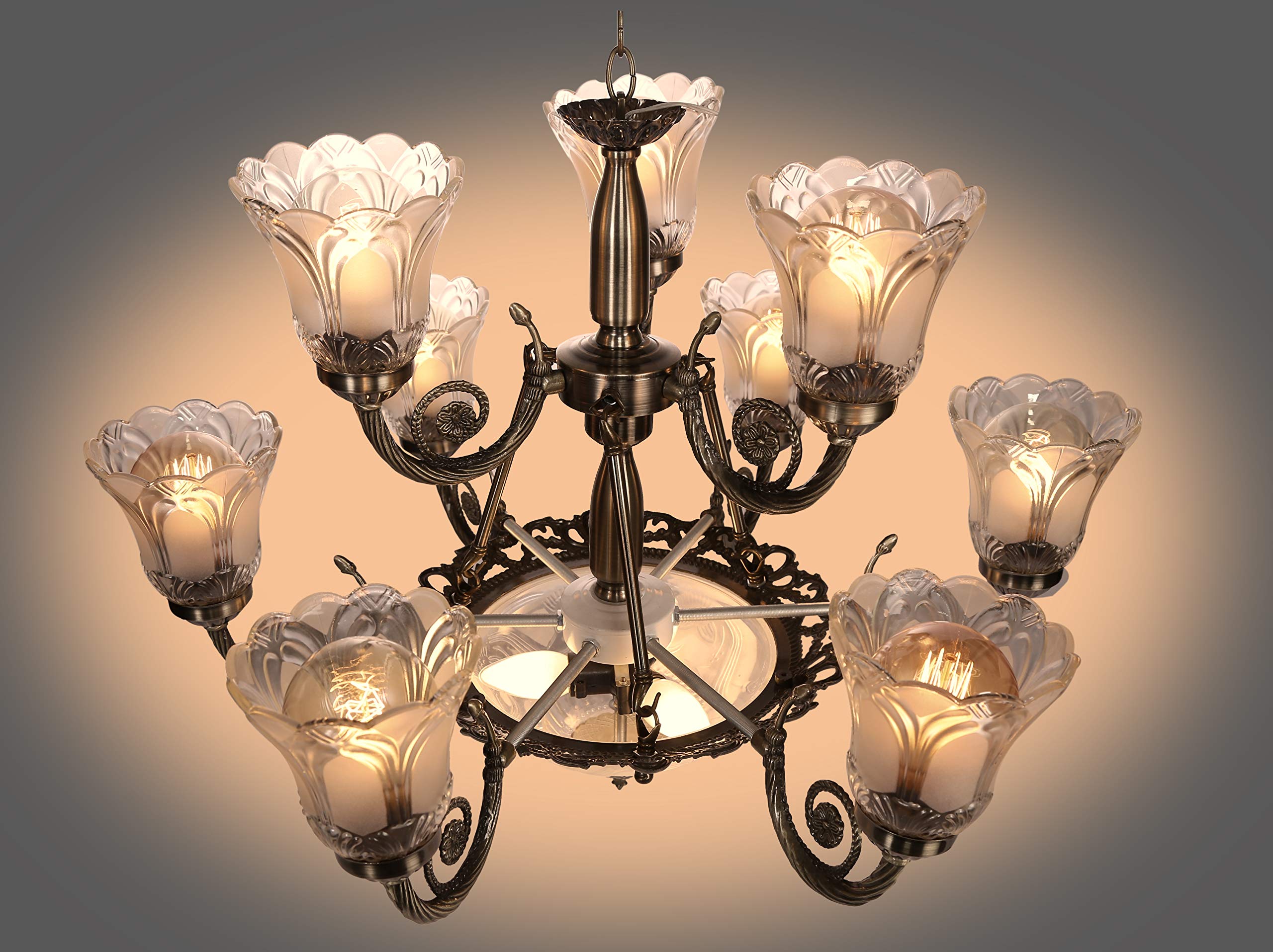CARSTEN Antique Design Black Antique Color Chandelier Jhoomer Ceiling Light (12 Light)-image-11