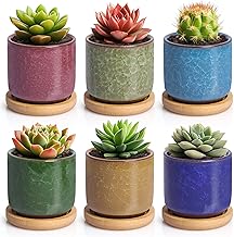 T4U 6.3cm Keramik Sukkulenten Töpfe Kaktus Pflanze Töpfe Mini Blumentöpfe EIS Crack Höher Serie 6 Farben Set mit Untersetzer