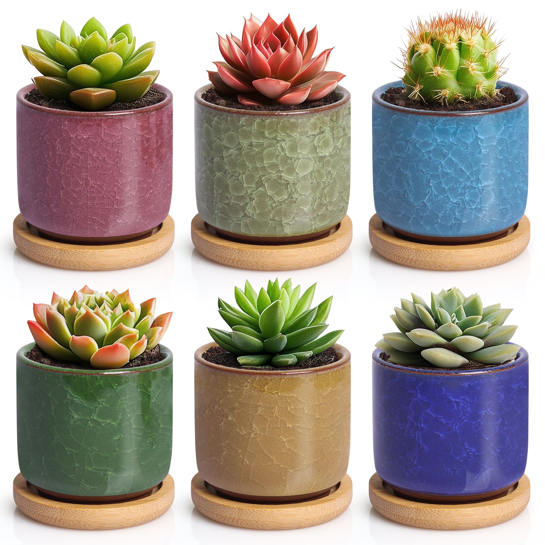 T4U 2.5 Inch Small Ceramic Succulent Planter Pot with Bamboo Saucer Set of 6, Ice Crack Glaze Porcelain Handicraft Plant Container Gift for Mom Sister Aunt Best for Home Office Desk Decoration