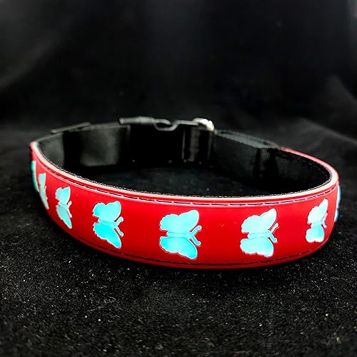 Miniatura 3 de DOGLED Collar de perro LED con 3 colores que cambian de color, IPX7 impermeable, doble fibra súper brillante USB recargable (CRS-S)