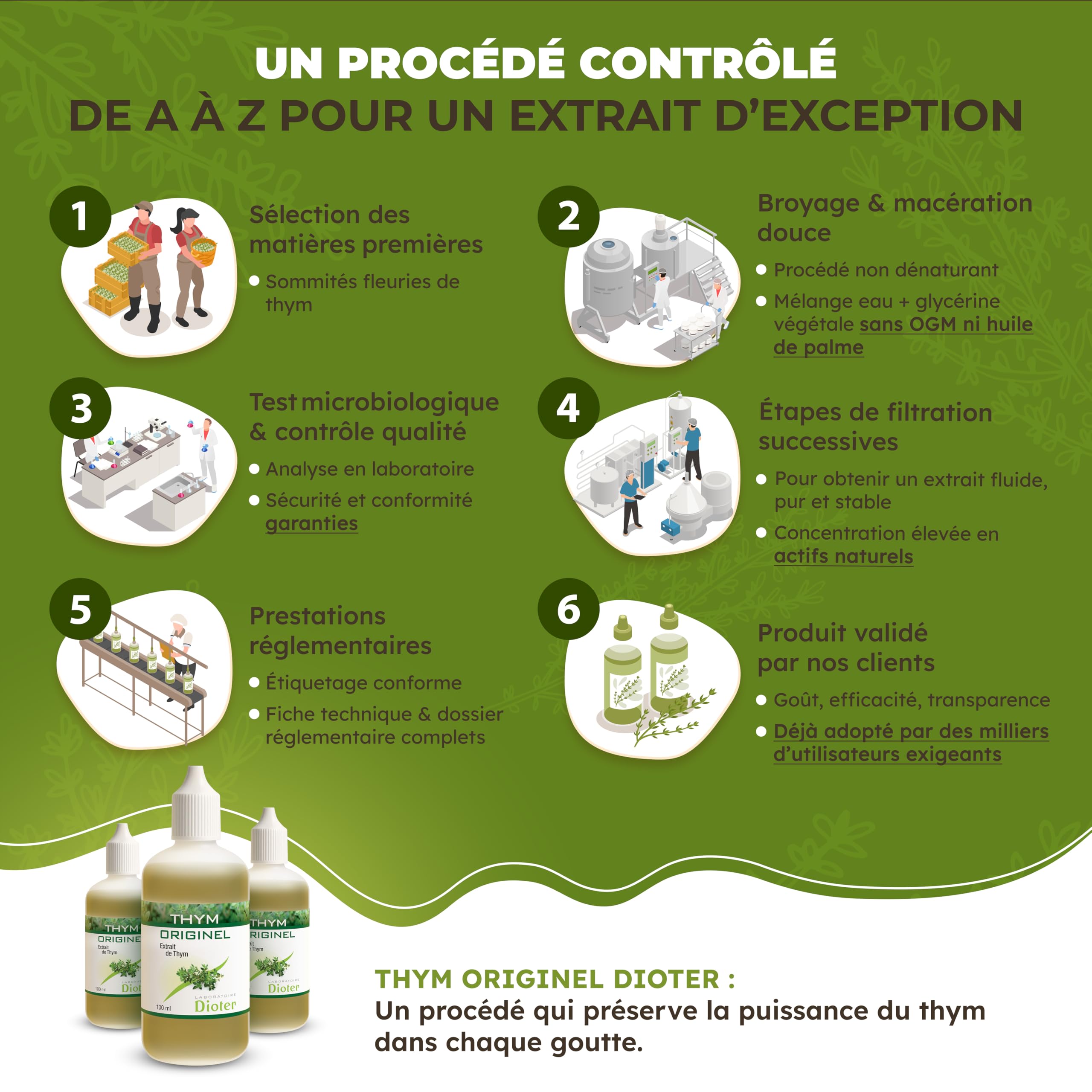 Thym Originel – Extrait concentré de Thym 100 ml, Sans Alcool, 100% Naturel – Soutien Respiratoire & Immunité