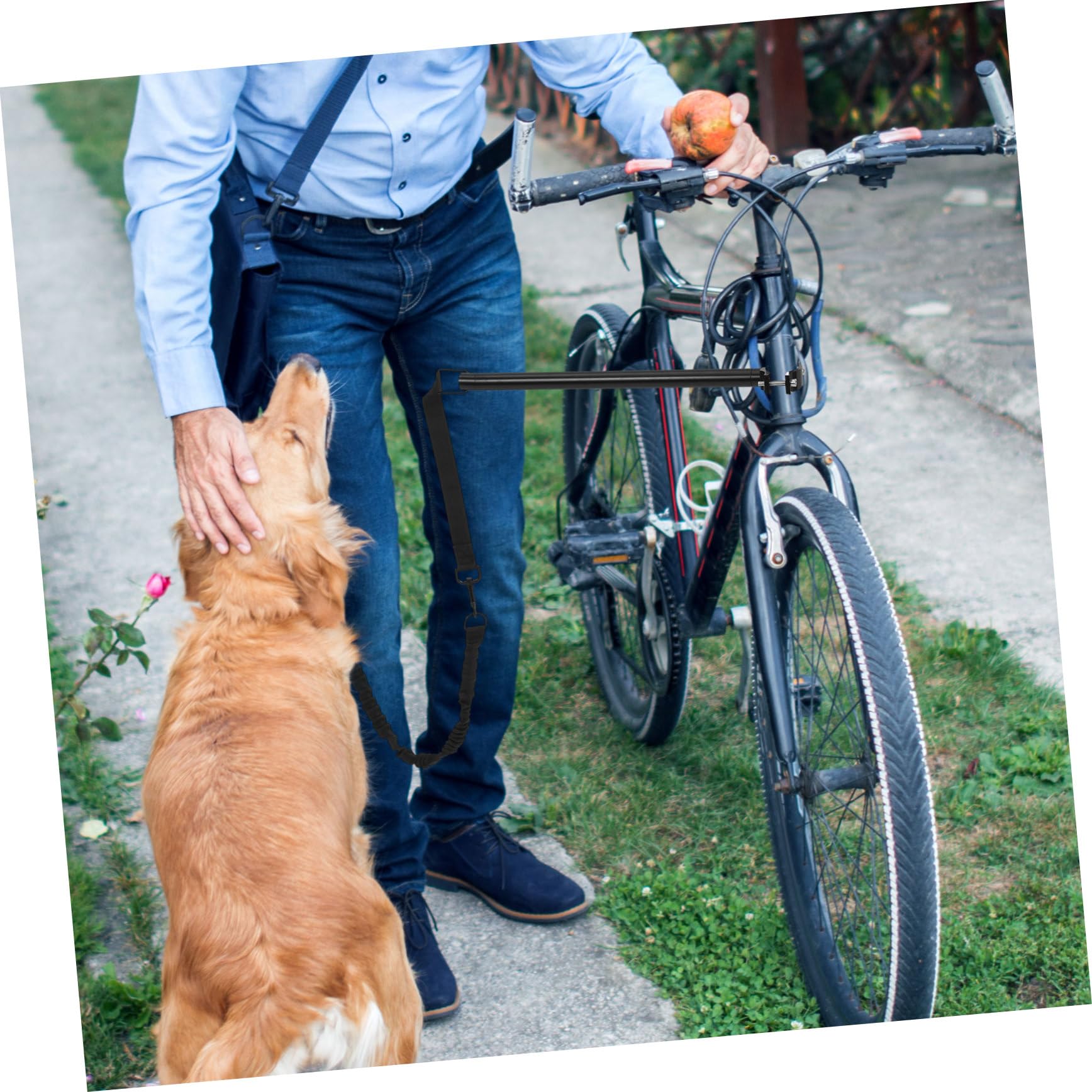 SHINEOFI Guinzaglio per Cane da Bicicletta Regolabile Tessuto Oxford e Lega, Adatto per Piccoli e Medio Cani, per Escursioni e Attività Outdoor