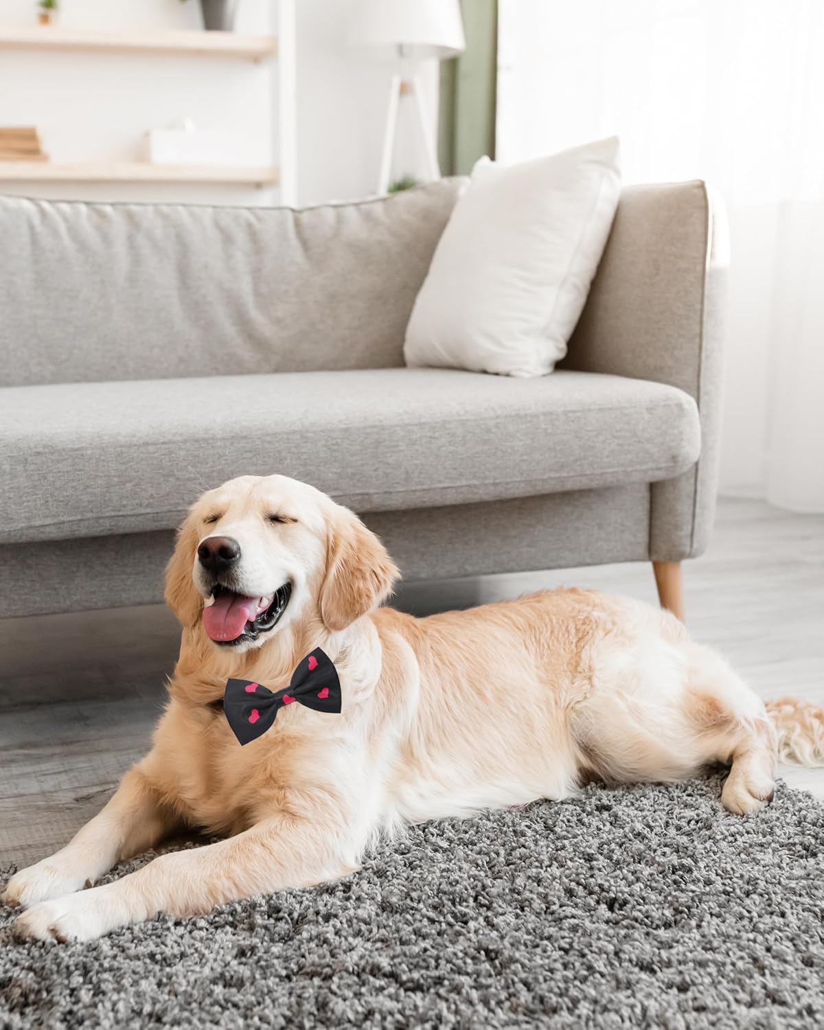 PET SHOW 60 Pack Big Dog Collar Bow Ties and Neck Ties Bulk Stripe Adjustable Bowties for Large Medium Dogs Cute Dot Birthday Bowknots Wedding Party Holiday Ties Pet Grooming Accessories