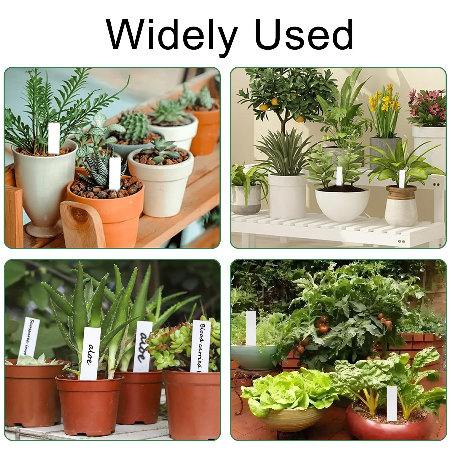 Plastic Plant Tags,100 Plant Tags and Labels,White Plant Name Labels,Suitable for Outdoor Use,for Seeds,Seedlings,Vegetables, Flowers,Potted Plants (with Pen) — view 6