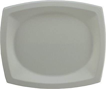 amazon disposable plates