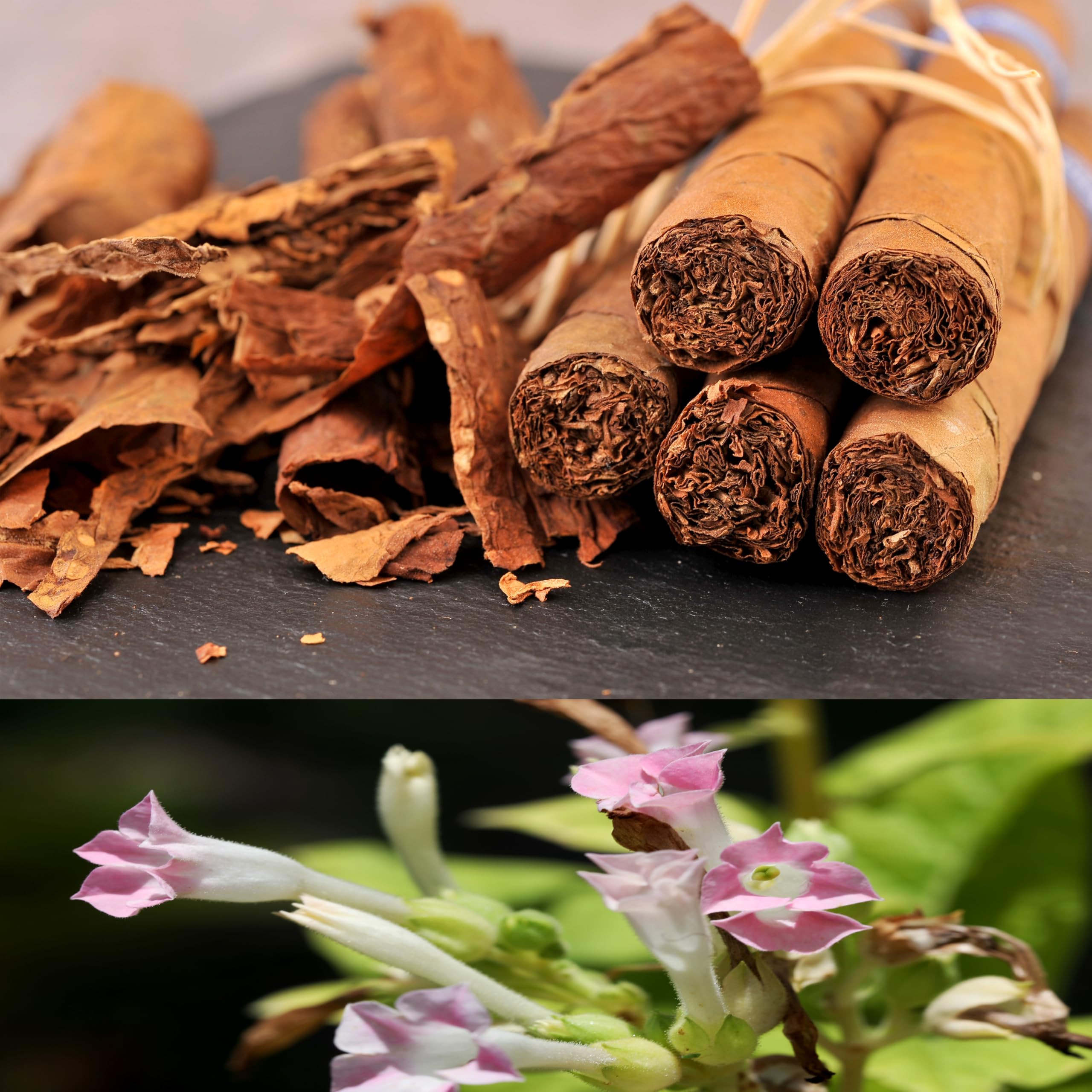 tobacco ibs Can Smoking Cause Ibs: Information for Adults (21+)
