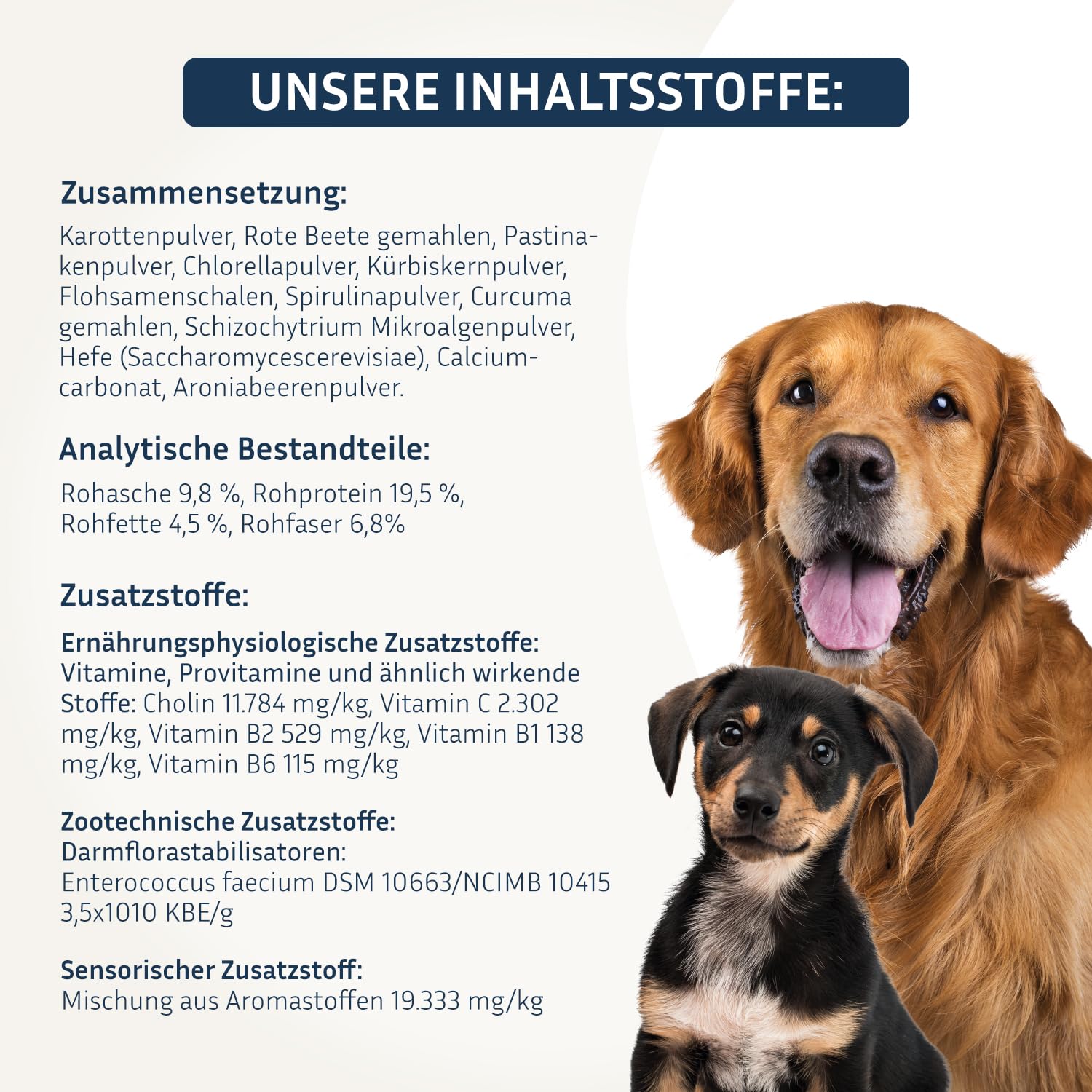 PetFokus Vital Formuła Plus | wspomaga trawienie, promienne futro, energię i witalność | suplement karmy dla psów | witaminy, minerały i substancje roślinne I probiotyki i omega-3 | pyszny smak