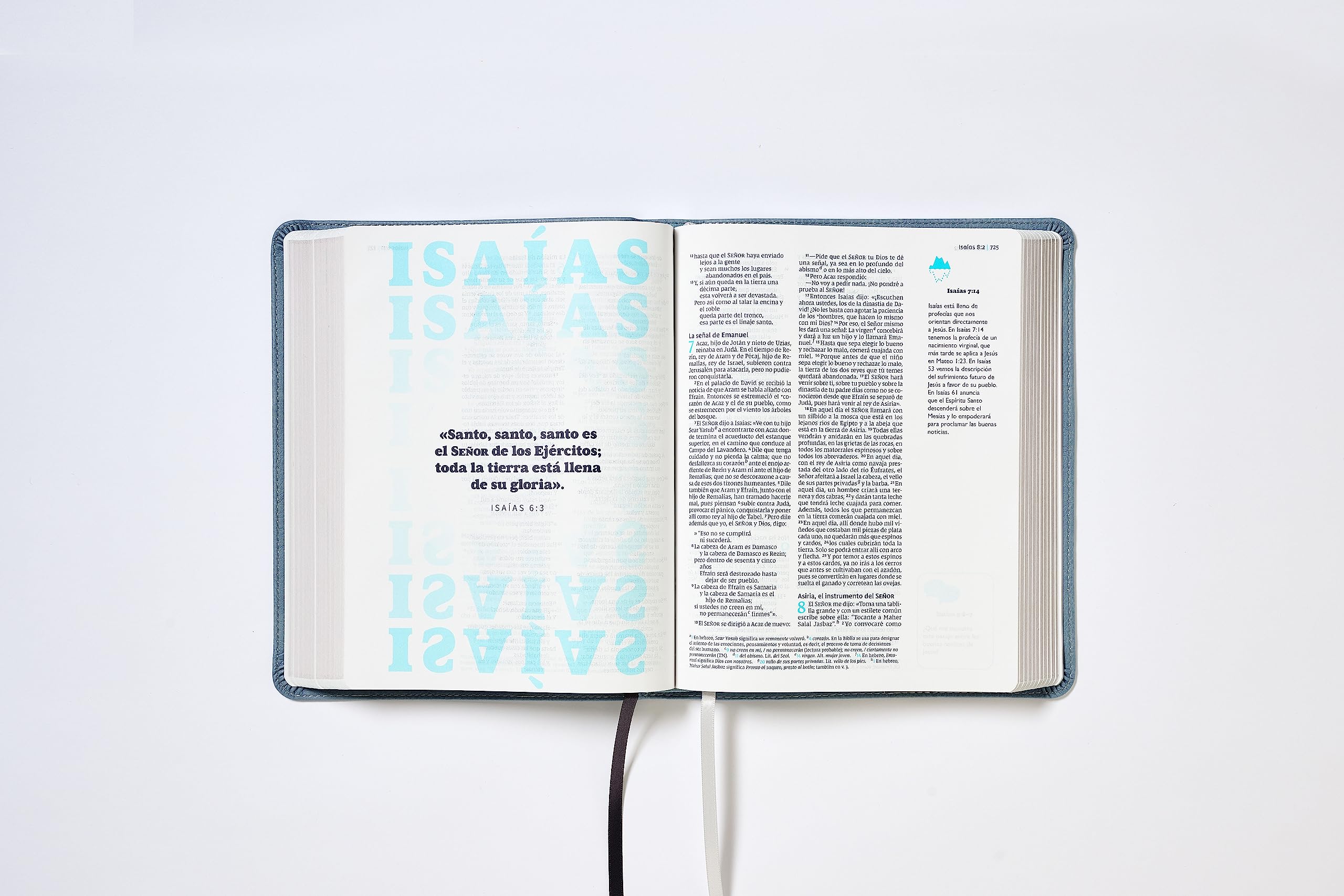 La Biblia Telos para Jóvenes: Nueva Version International, Gris, Leathersoft, Una guía para el estudiante a través de las Escrituras, Comfort Print