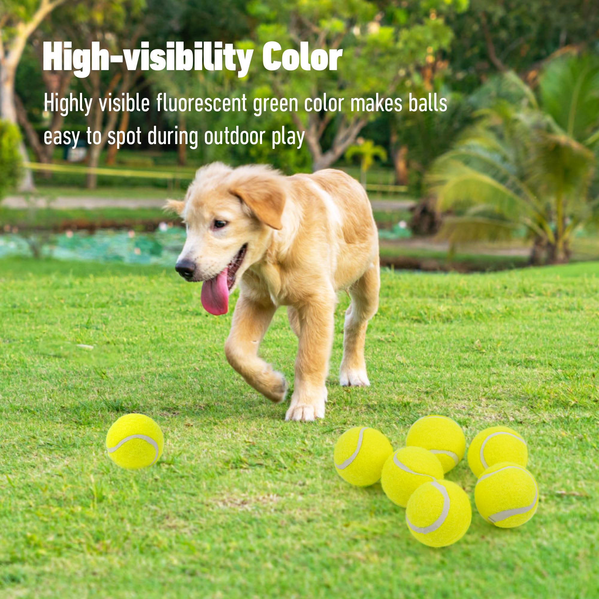 Pet Prime Dog Tennis Ball Toy 6 Pcak 2.5 Inch for Automatic Ball Lanucher Interactive Pet Balls for Exercise Training Play Fetch - Image 4