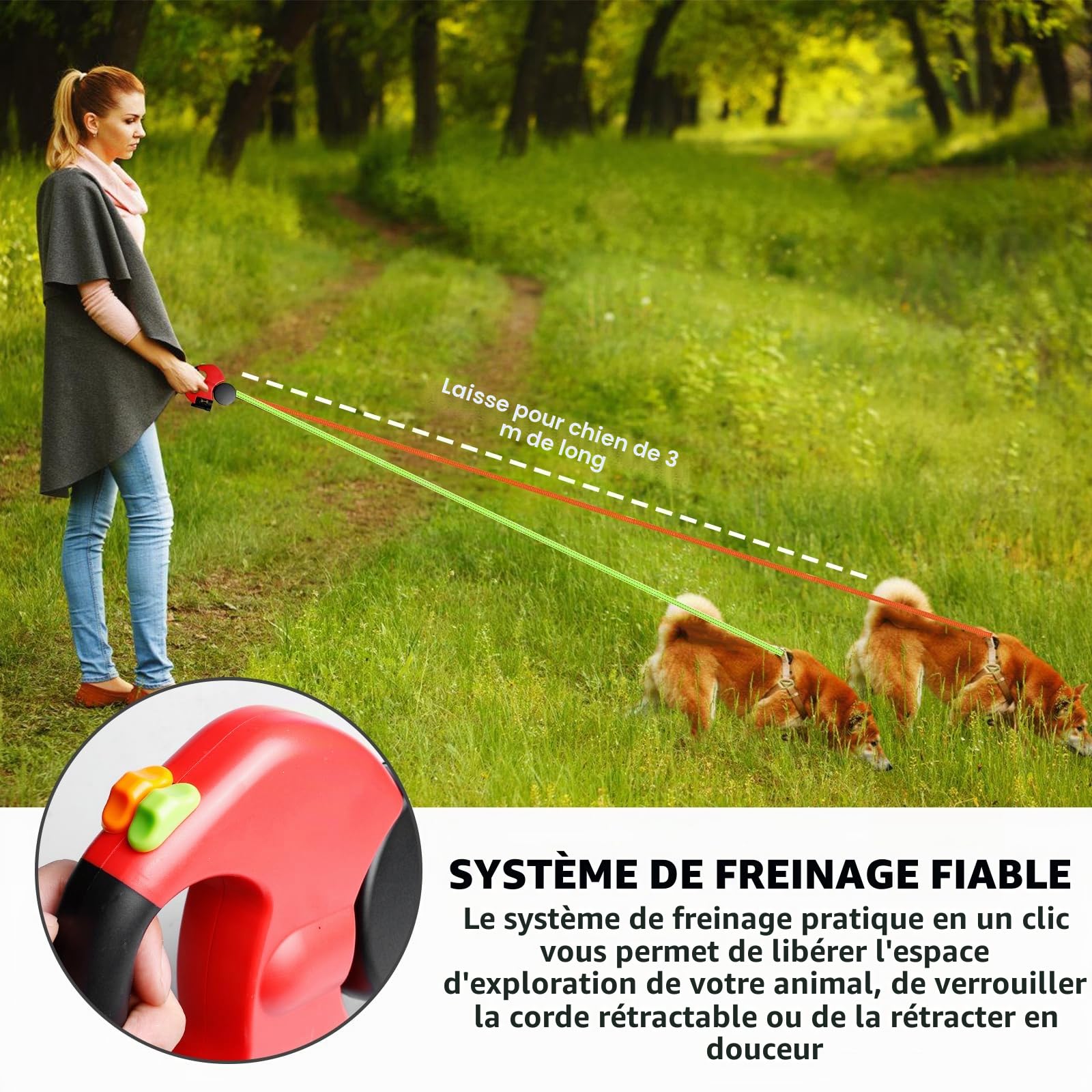 Laisse double pour 2 chiens - 3 mètres, laisse rétractable et extensible pour chiens avec fonction de lumière, poignée ergonomique et bobine
