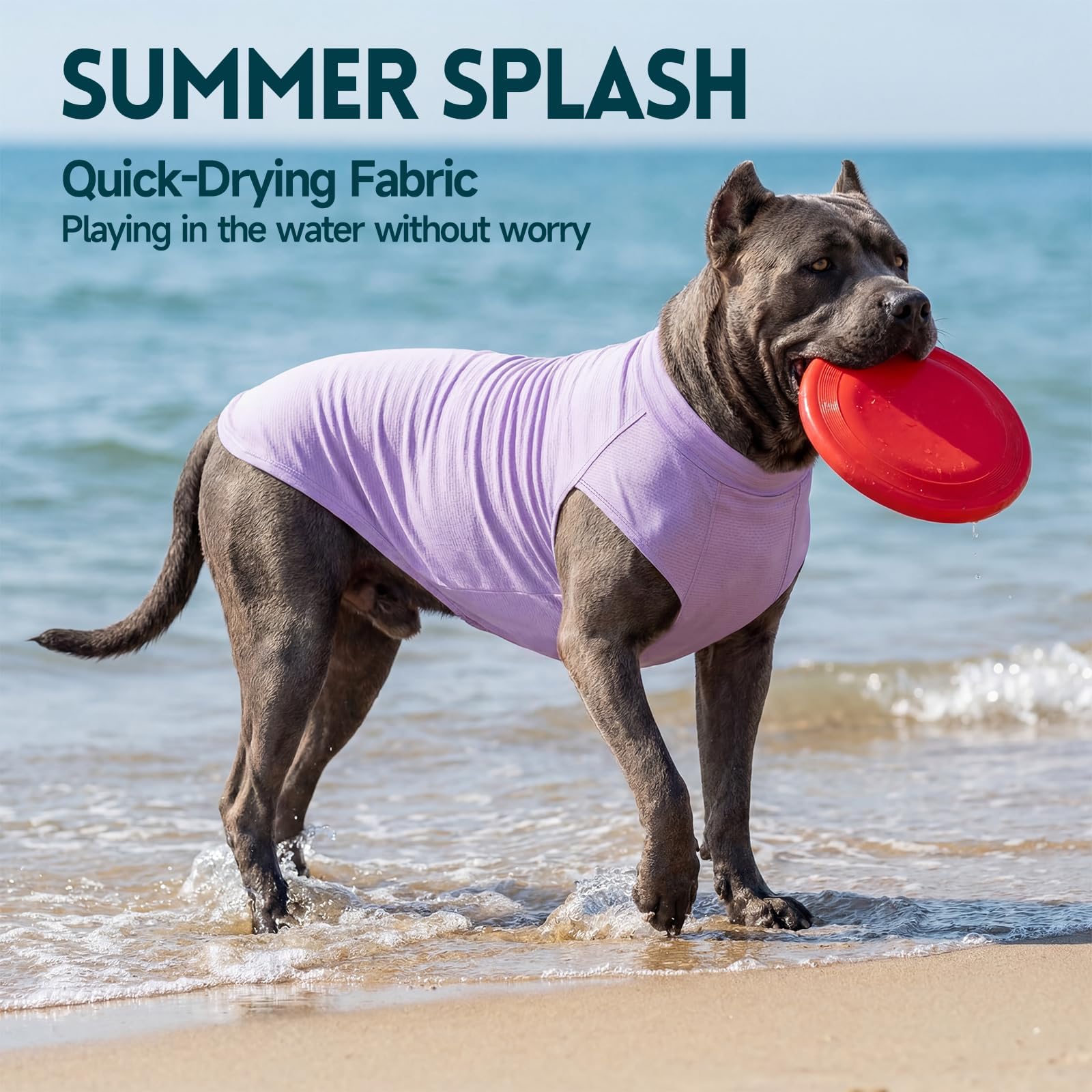 XPUDAC Paquete de 2 camisetas de protección solar para perros, de secado rápido, transpirables, elásticas, ligeras, sin mangas, ropa de verano para mascotas para perros pequeños, piel sensible, suave