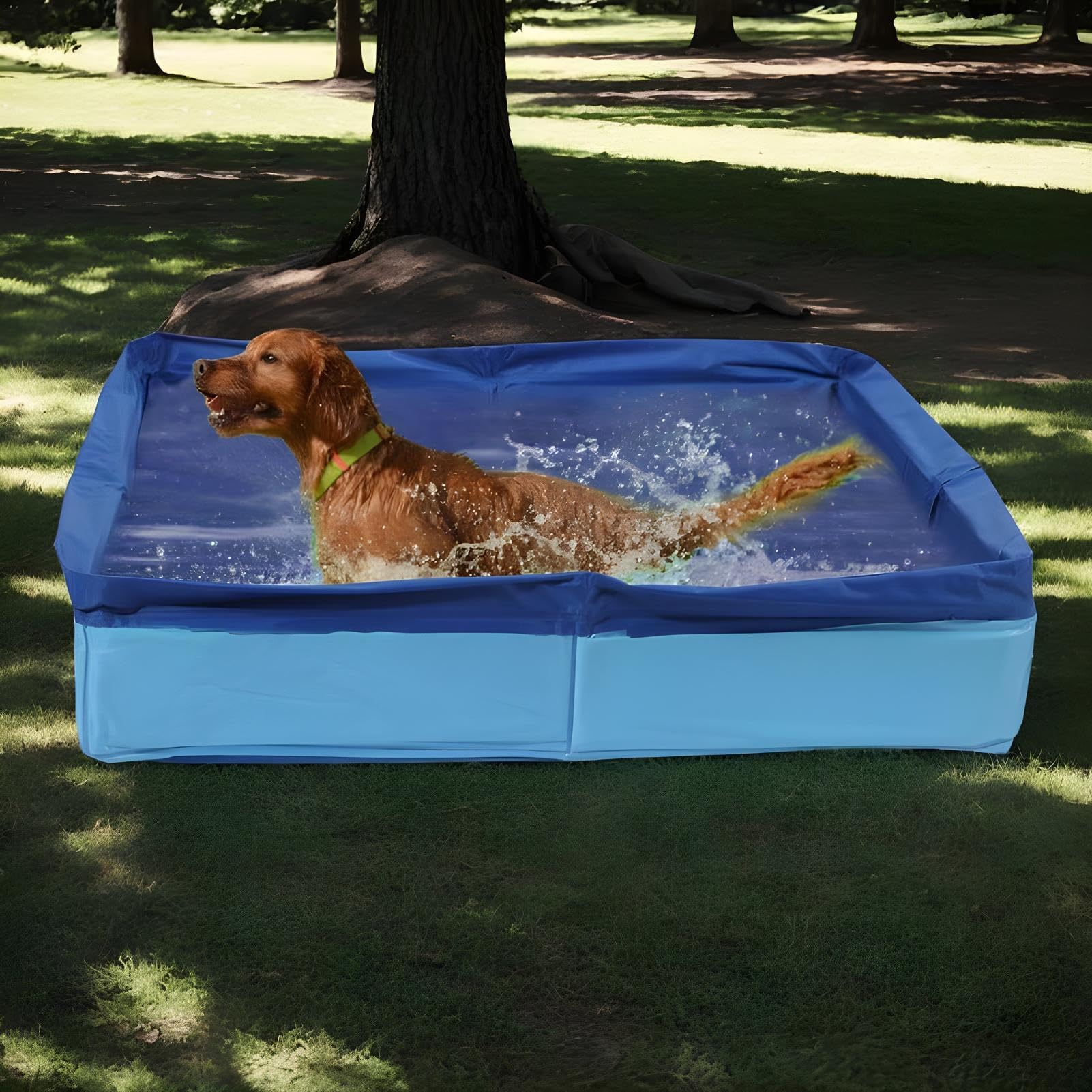 View 5