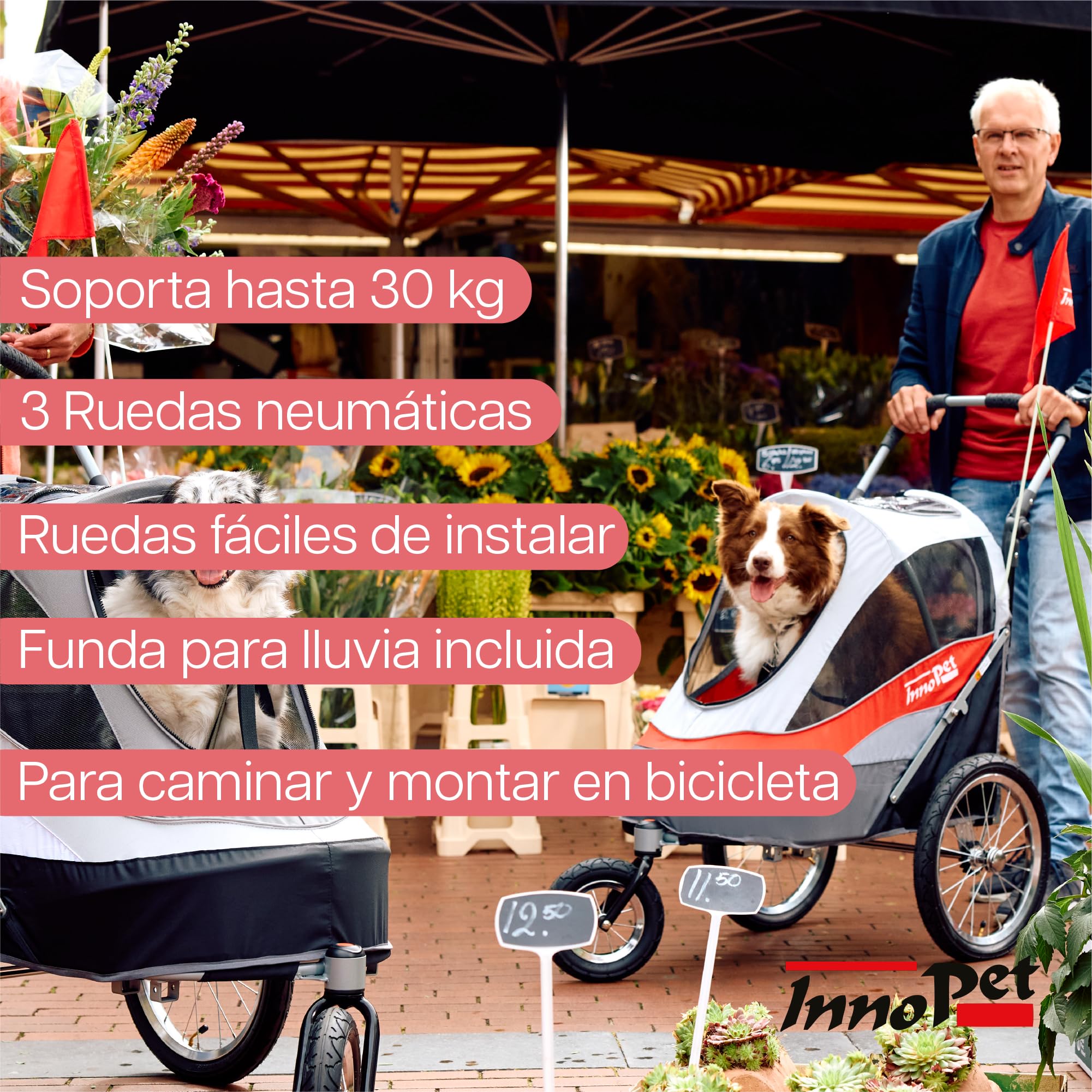 Innopet Pet Stoller,IPS-055/AT, Free Rain and Wind Cover, Dog Carrier, Trolley, Trailer, Sporty. Pet Buggy, Pushchair, pram for Dogs and Cats