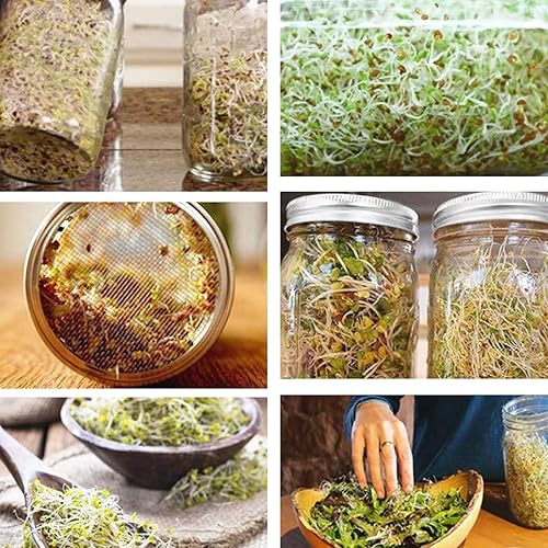 Miniatura 5 de 4 tapas para tarros de germinación de semillas, soporte de tapa de tarro de acero inoxidable con 2 soportes, juego de tapa de germinación de acero