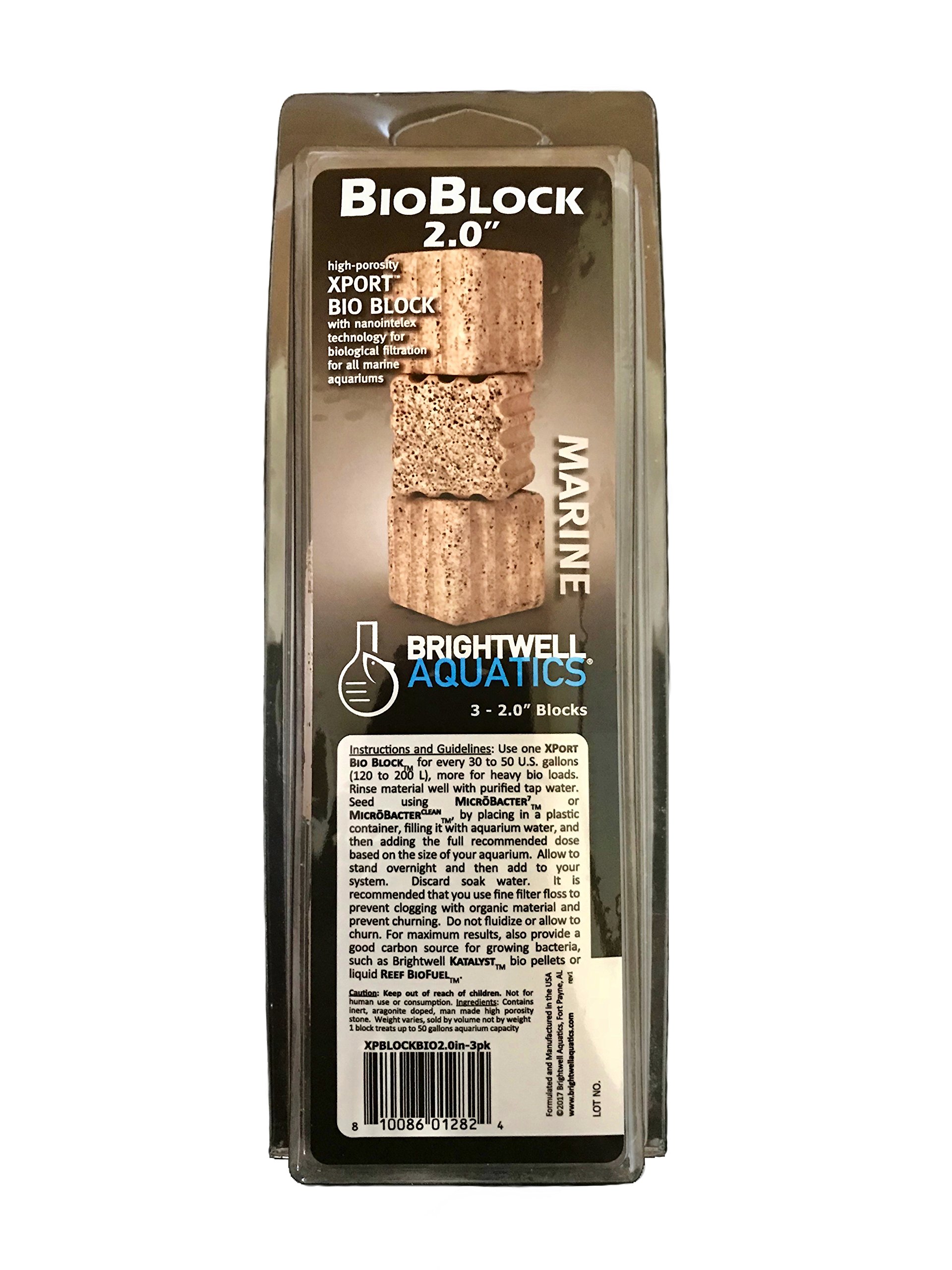 Brightwell Aquatics Xport-BIO Block - Biological Filtration Mediafor Bacteria Growth and Phosphate Reduction, 4 Pack, 2" (XPBLOCKBIO2.0in-3pk)