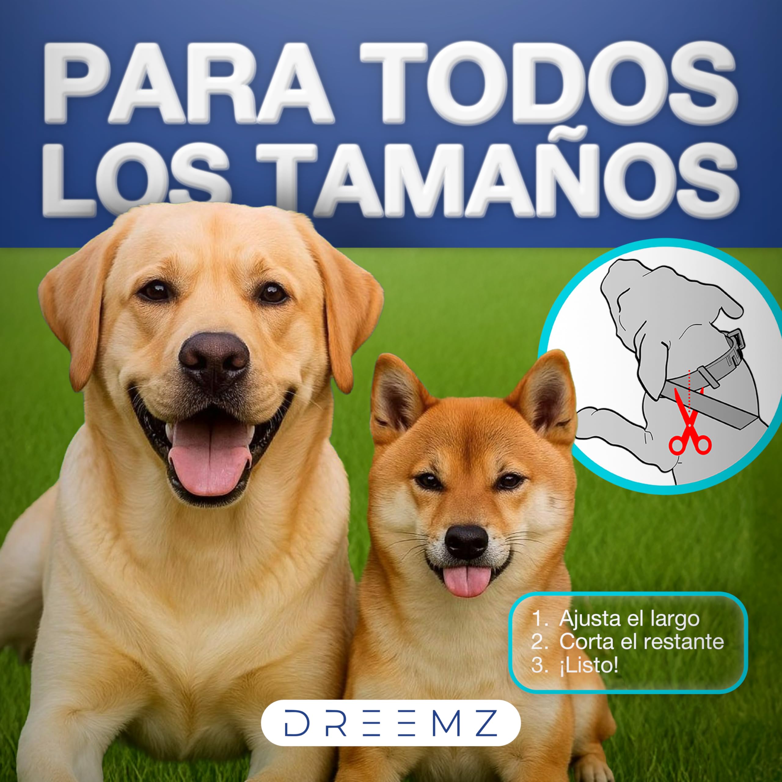 DREEMZ Collar Repelente de Insectos - Antipulgas Perros, garrapatas y Mosquitos, 8 Meses protección-63cm -100% Vegetal-Impermeable - Formatos (1 Und Gris) - 4