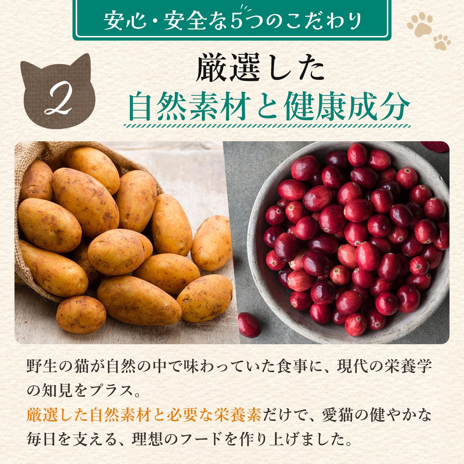 Amazon.co.jp: アランズ ナチュラル キャットフード チキン＆ターキー
