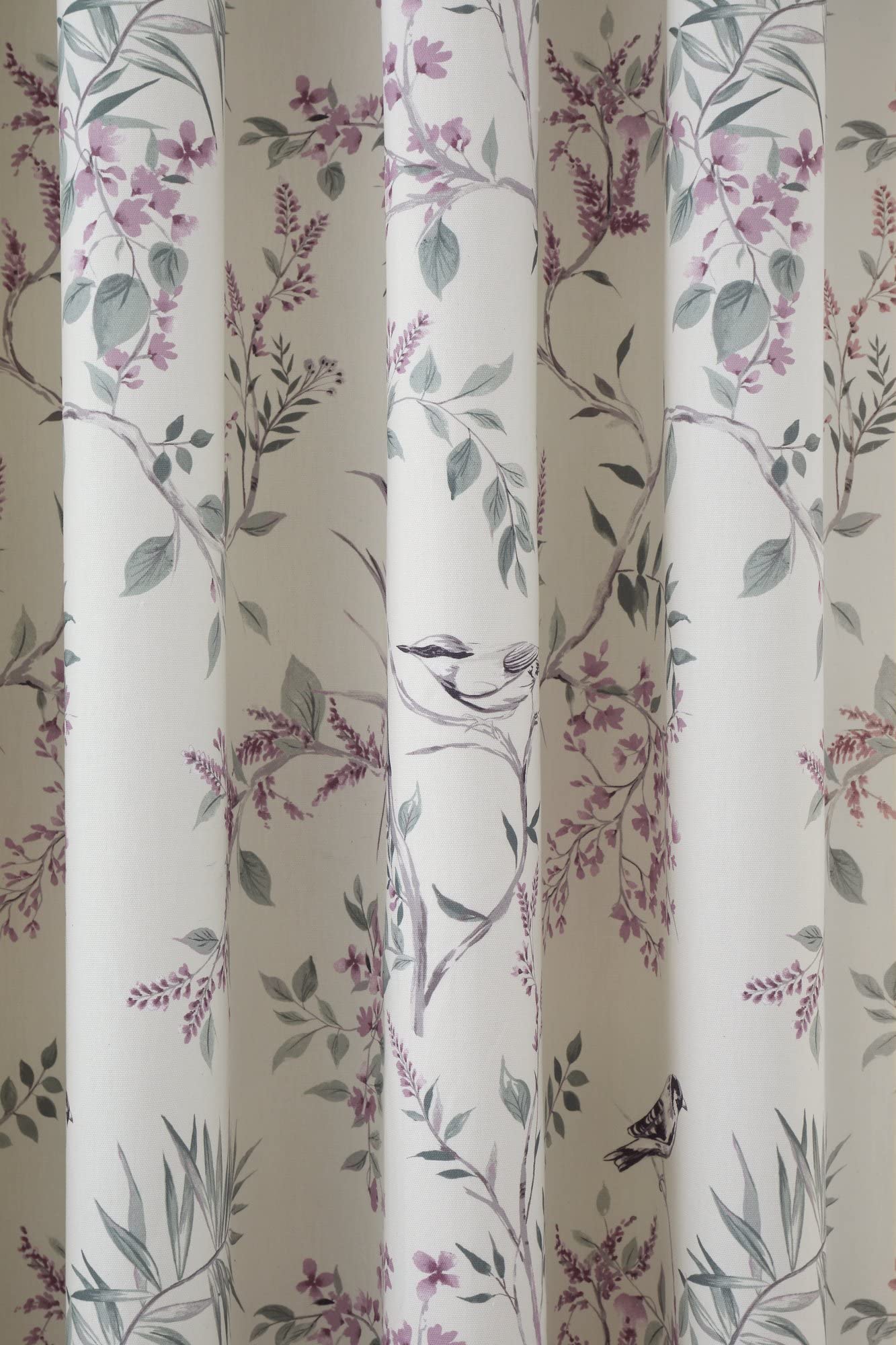Dreams & Drapes Jazmine Paire de Rideaux plissés 100% Coton entièrement doublés avec embrasses 168 x 137 cm (l x H)
