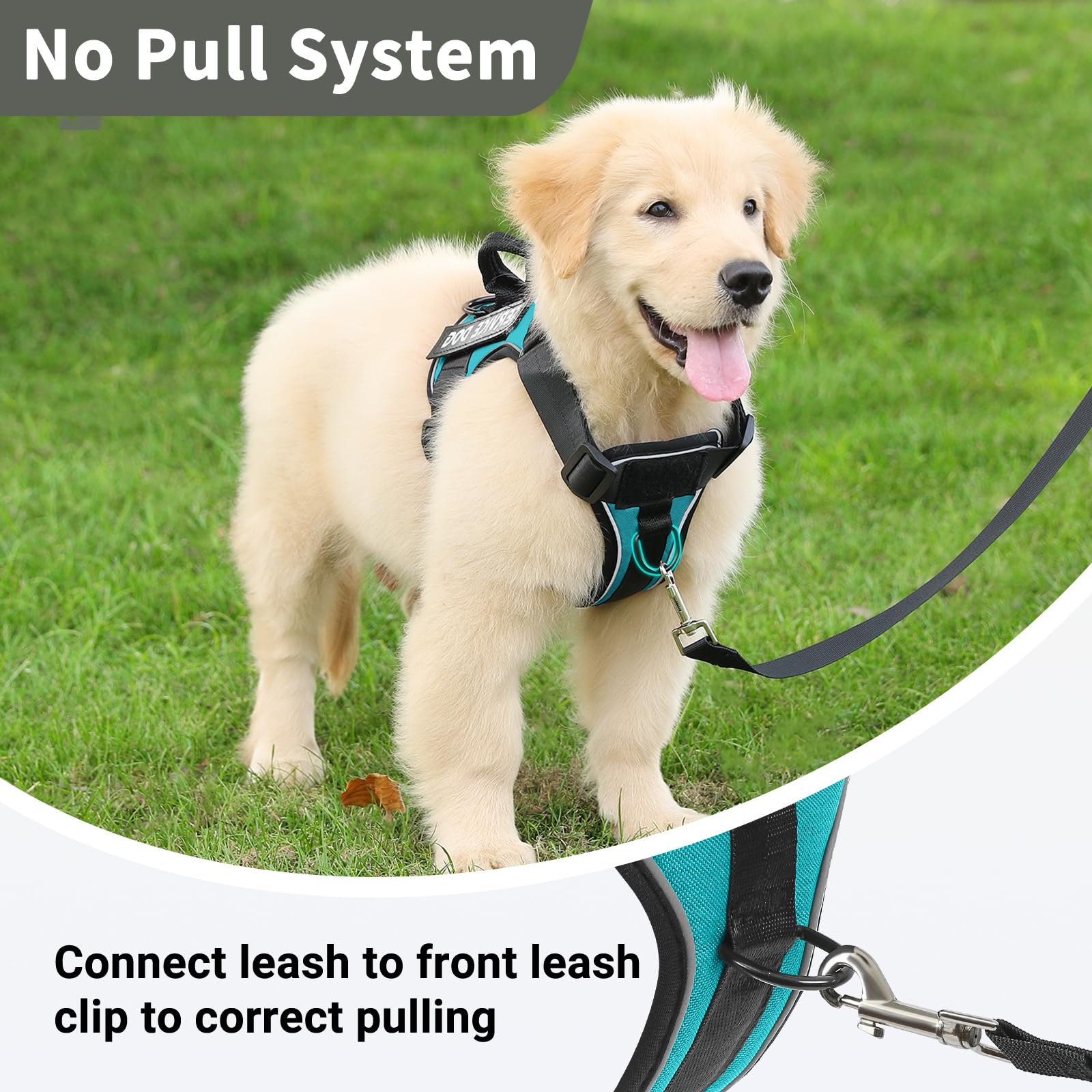 Belababy Dog Harness Small Medium Large - Image 4