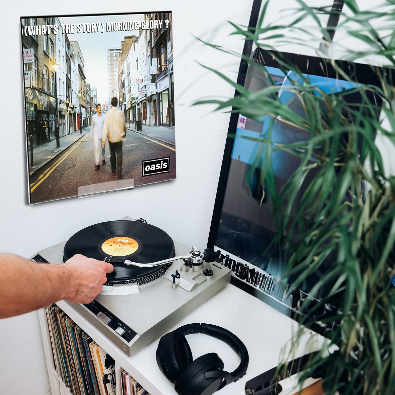 CD Display Shelves BiJun 6 Pack Vinyl Record Wall Mounts - Metal ...