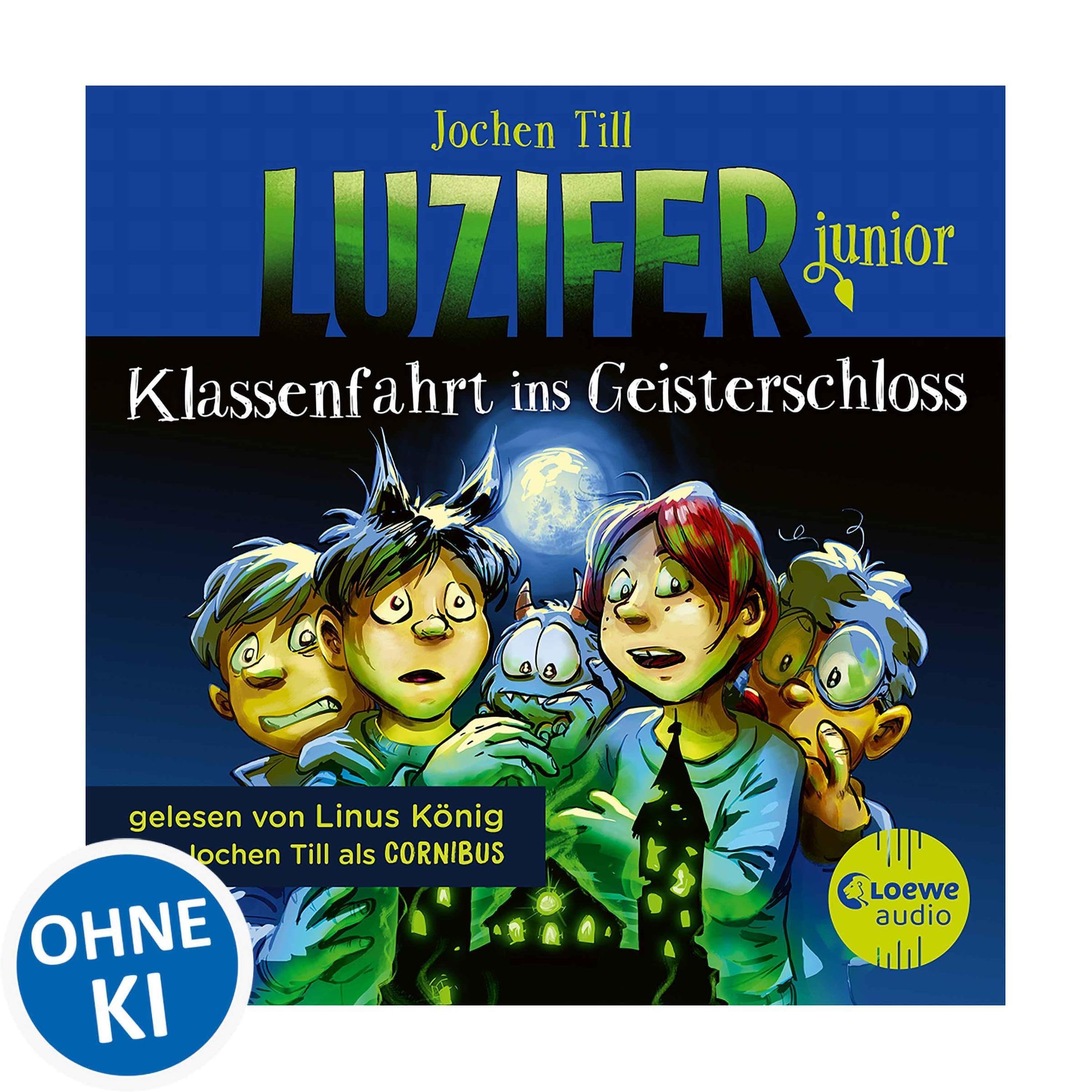 Cover art for Klassenfahrt ins Geisterschloss