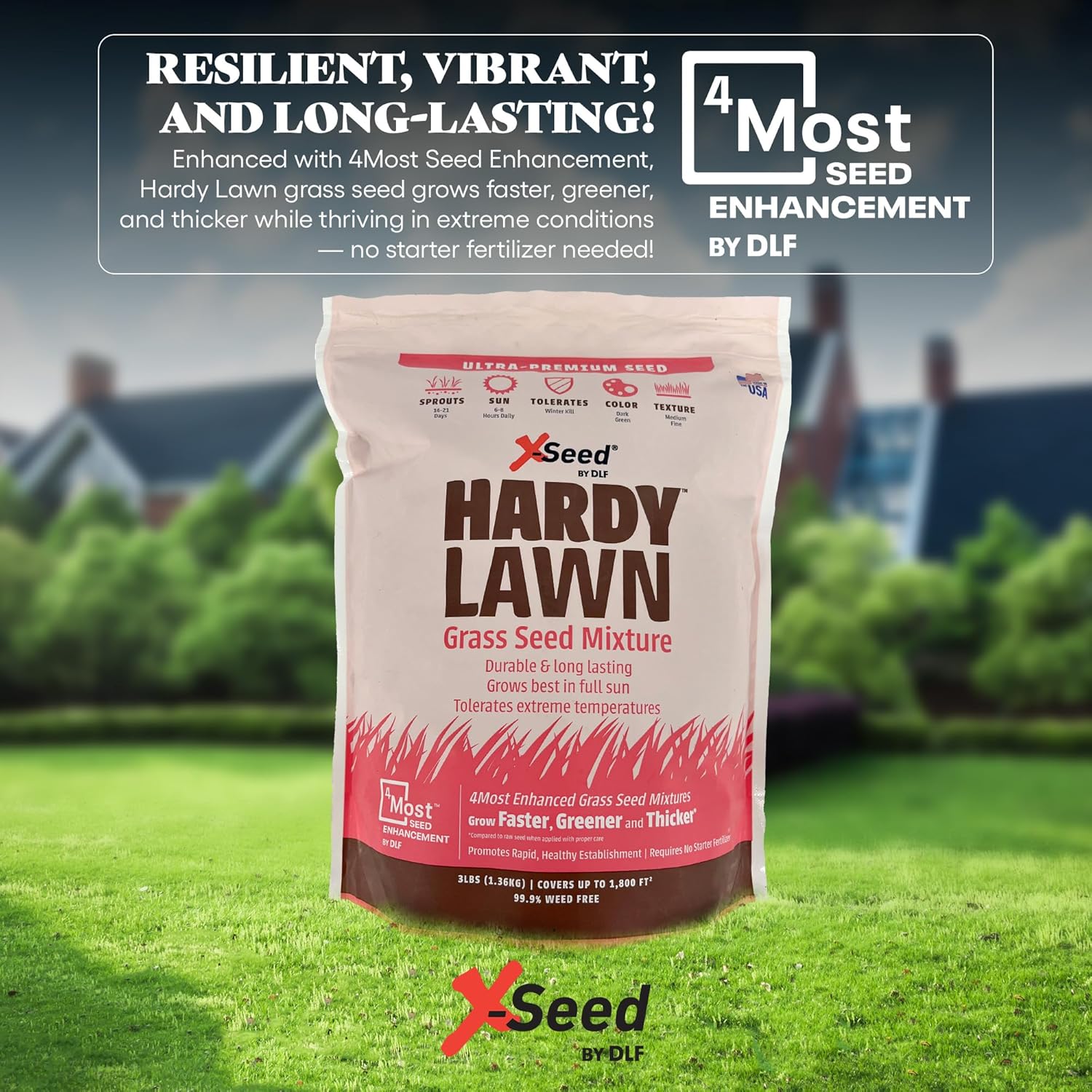 X-Seed Hardy Lawn Grass Seed Mixture - Durable, Long-Lasting Lawn Solution for Full Sun, Withstands Extreme Temperatures & Heavy Traffic, Ideal for Backyards, 3 lbs.
