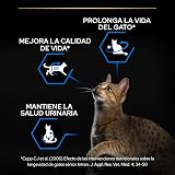 Ver la foto 3