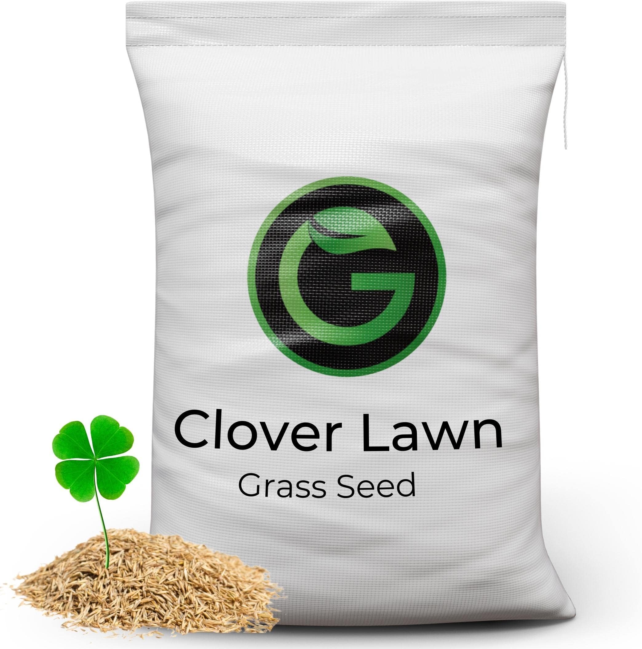 Clover Grass Seed for Lawns - 90% Grass with 10% White Clover Lawn Seed Mix - Low Maintenance - Natural Nitrogen Fixer - Garden Lawncare Guy