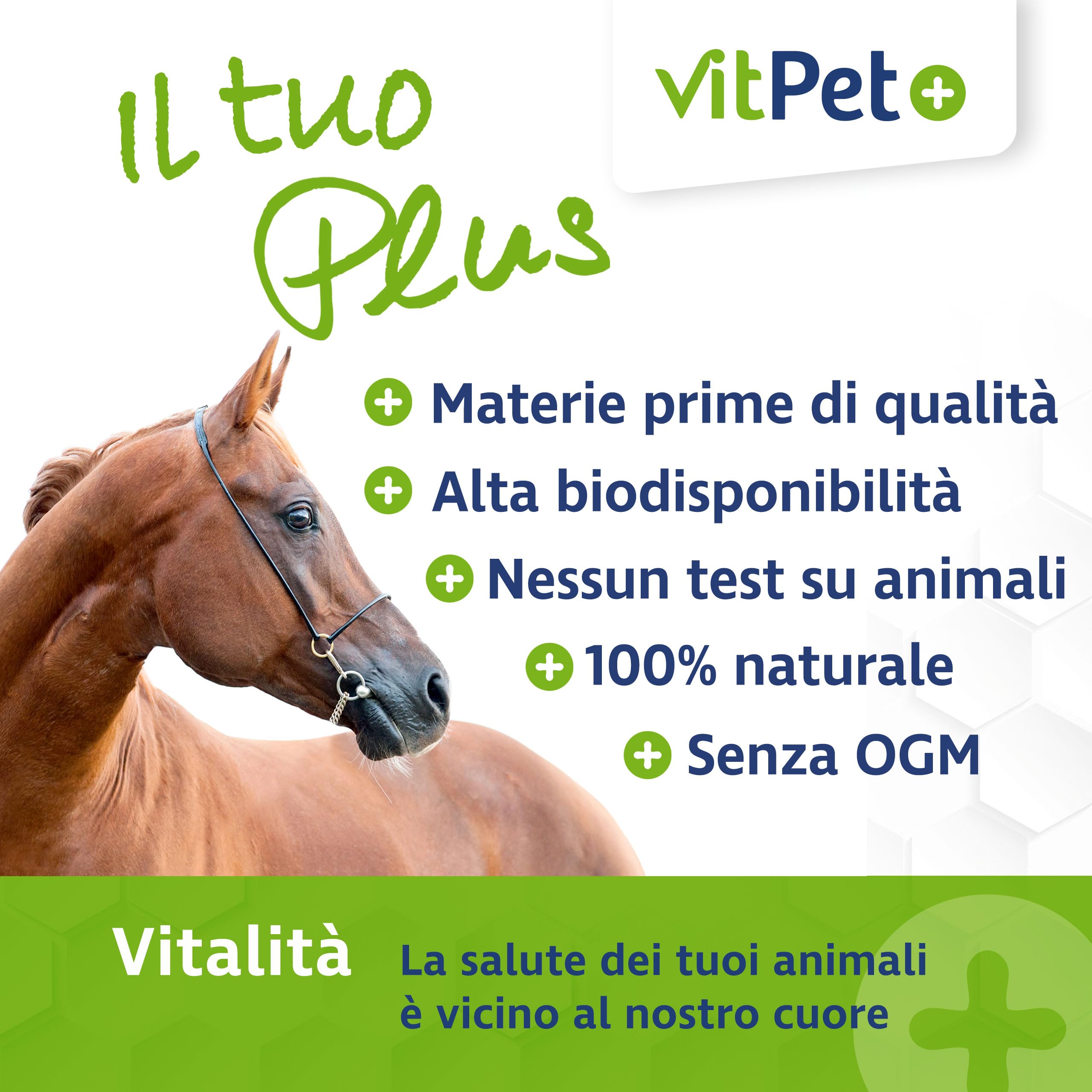MSM Horse - Polvo MSM Premium para caballos en cubo de 1,8 kg, incluye cuchara dosificadora (polvo de metilsulfonilmetano/azufre para caballos y perros)