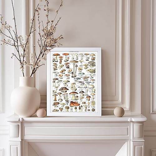 Miniatura 68 de Poster Master Póster vintage de orquídea, estampado de flores retro, arte de pared de plantas exóticas, arte botánico, regalo para hombres y