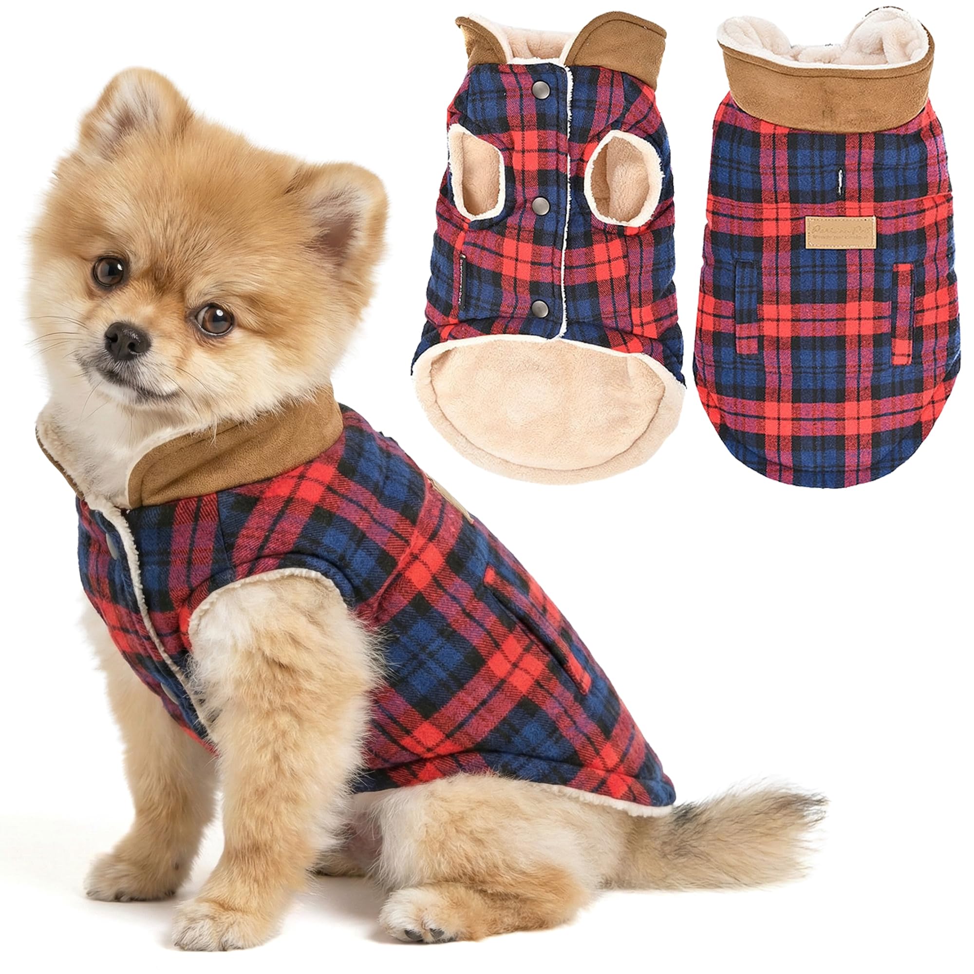 Manteau écossais rouge pour chien : le pull parfait pour Noël