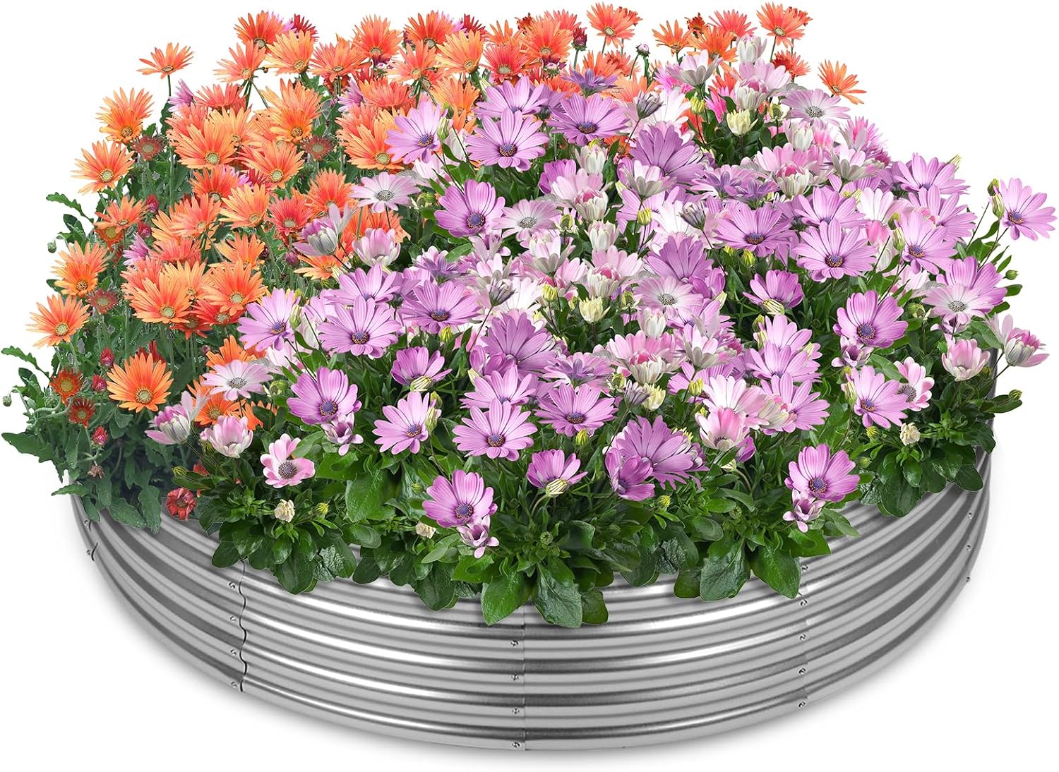 4×4 Round Raised Garden Bed Outdoor Fire Pit Ring Metal Garden Bed for Gardening，Planter Boxes Flower Bed Galvanized Tub Above Ground Garden Beds for Vegetables