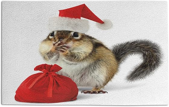 Ambesonne Christmas Doormat, Squirrel in Red Santa Claus Hat and Bag with Surprise Xmas Presents, Decorative Polyester Floor Mat with Non-Skid Backing, 30" X 18", Pale Yellow White Red