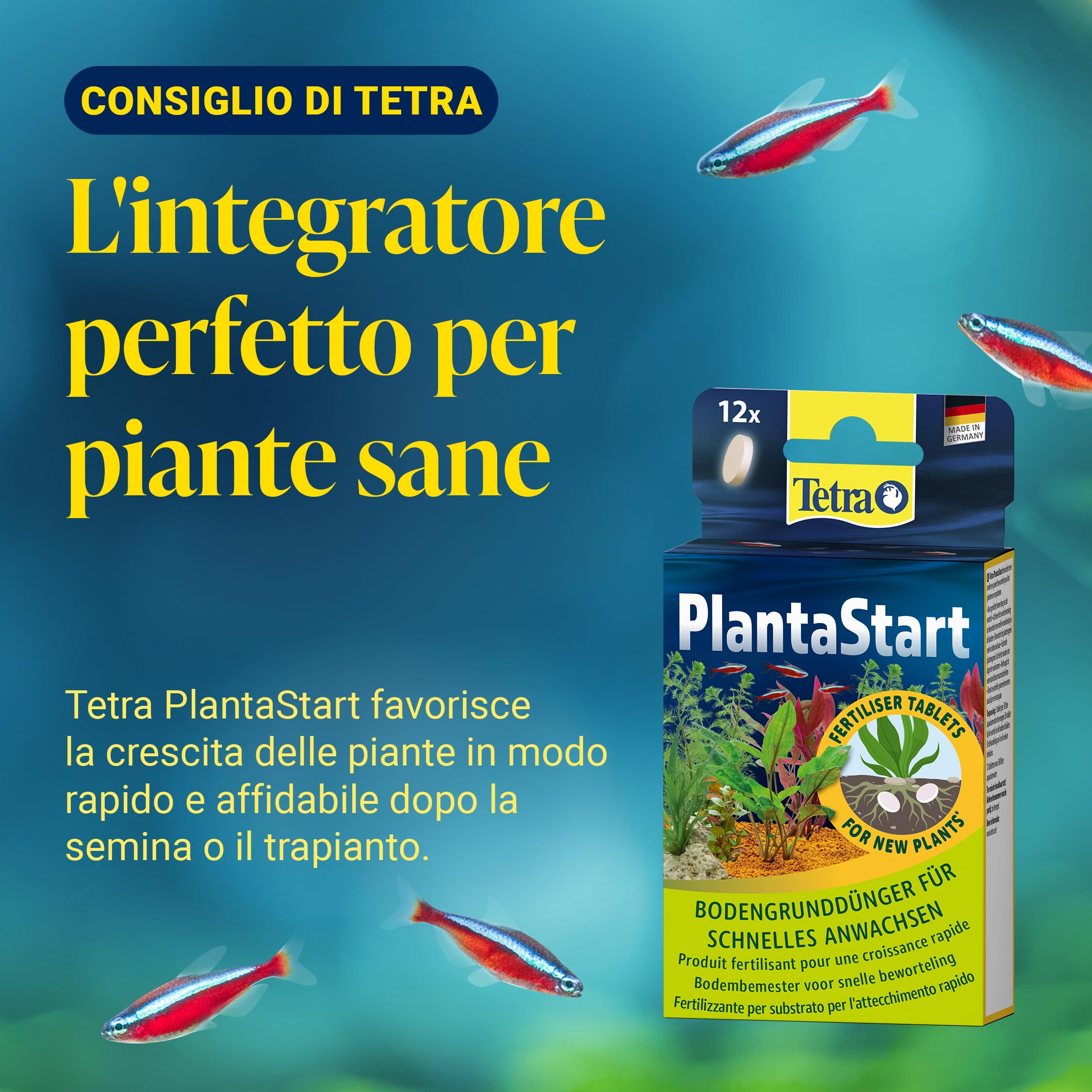 Tetra Active Substrate, 6 L