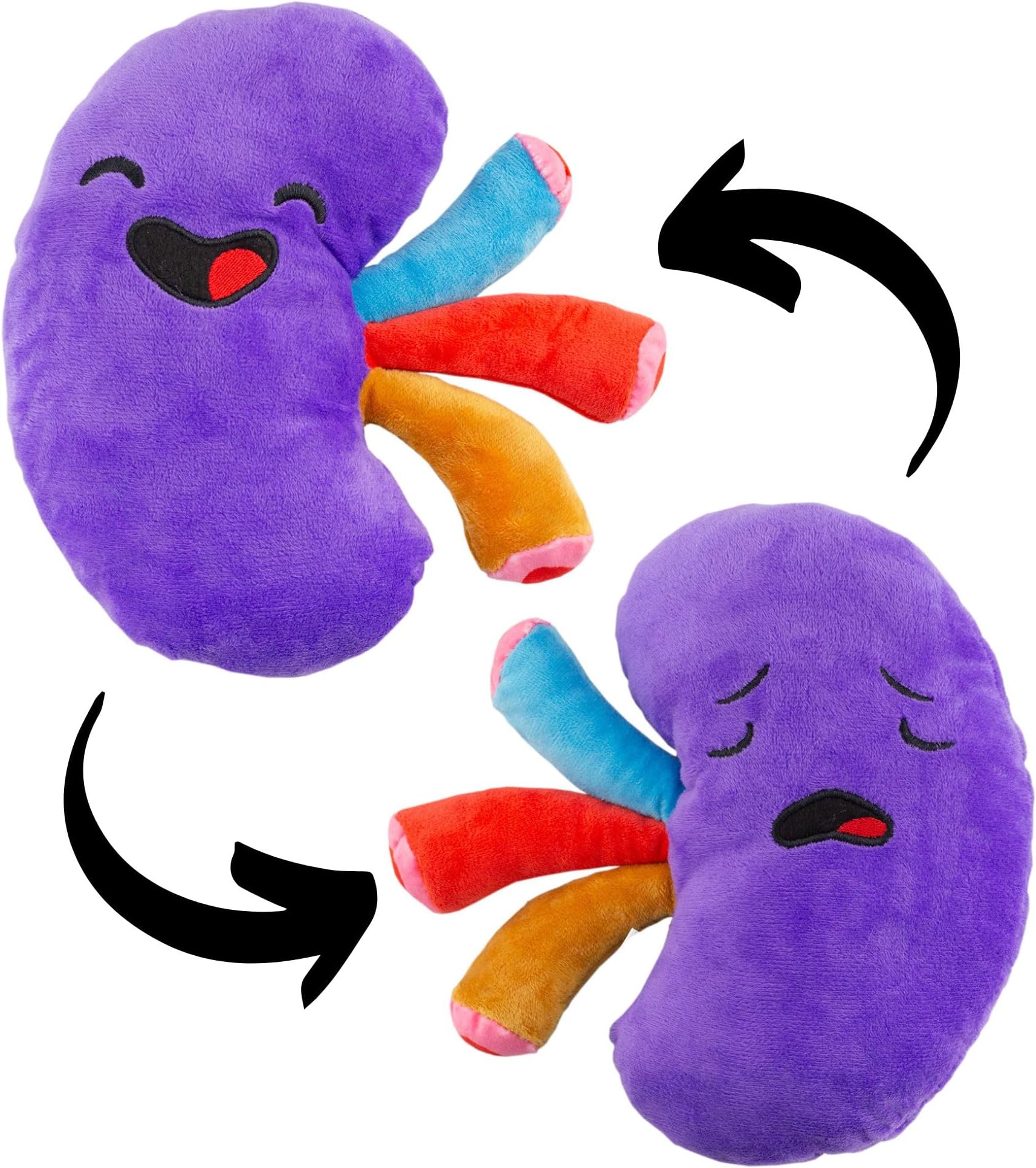 - Attatoy Plush Kidney, Stuffed Body Organ Toy for Get Well Gift, Health Education and More