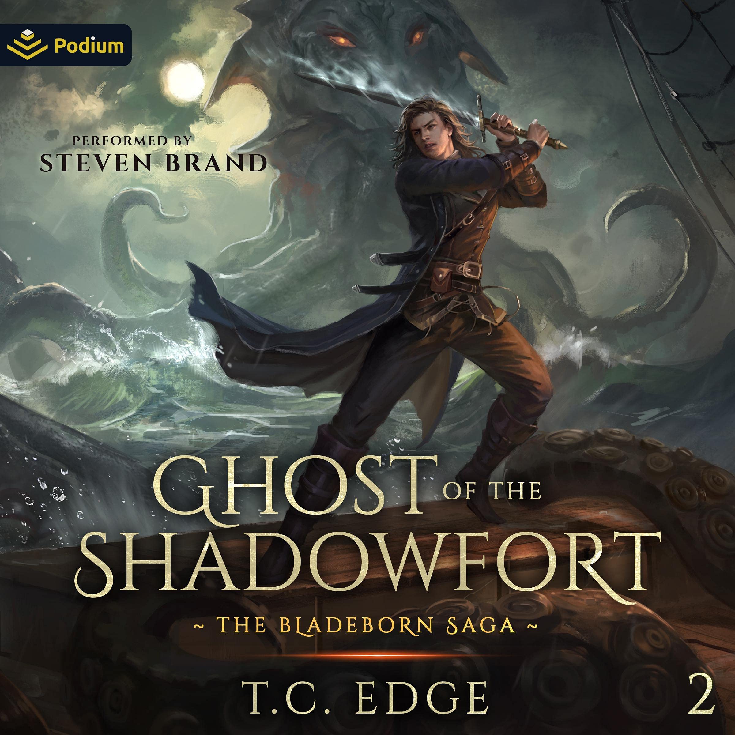 Cover art for Ghost of the Shadowfort