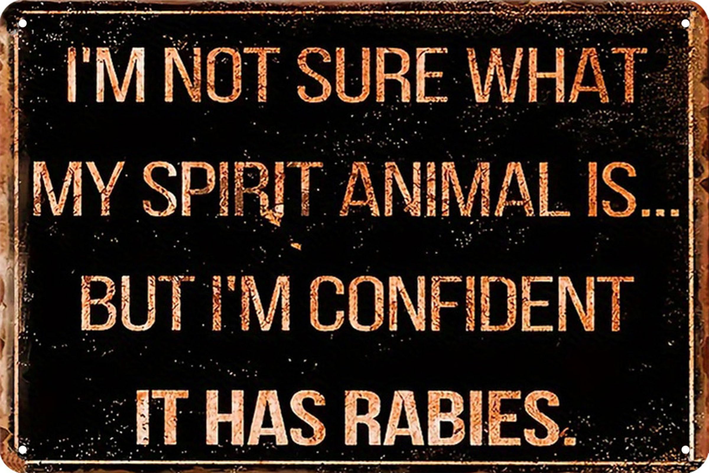 Vintage Room Metal Sign,Retro Funny Home Tin Sign,Wall Aesthetics and Decor for Kitchen Bar Pub Club Cafe Living Room Restaurant Shop Office 8x12 Inches (rabies)