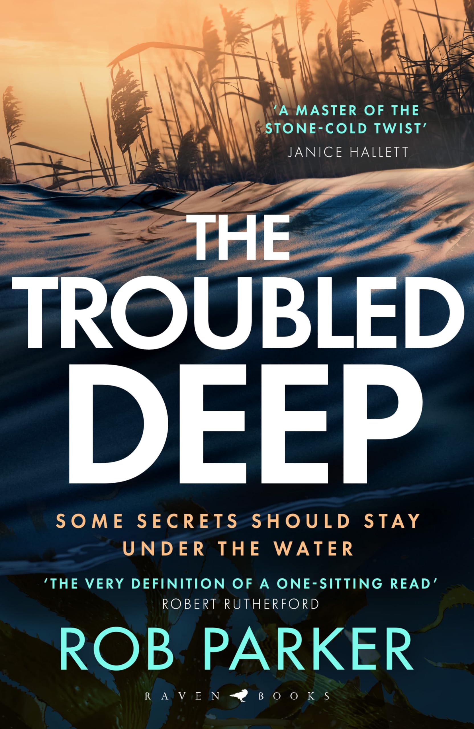 Rob Parker - The Troubled Deep - Crime Thriller Hardback Book
