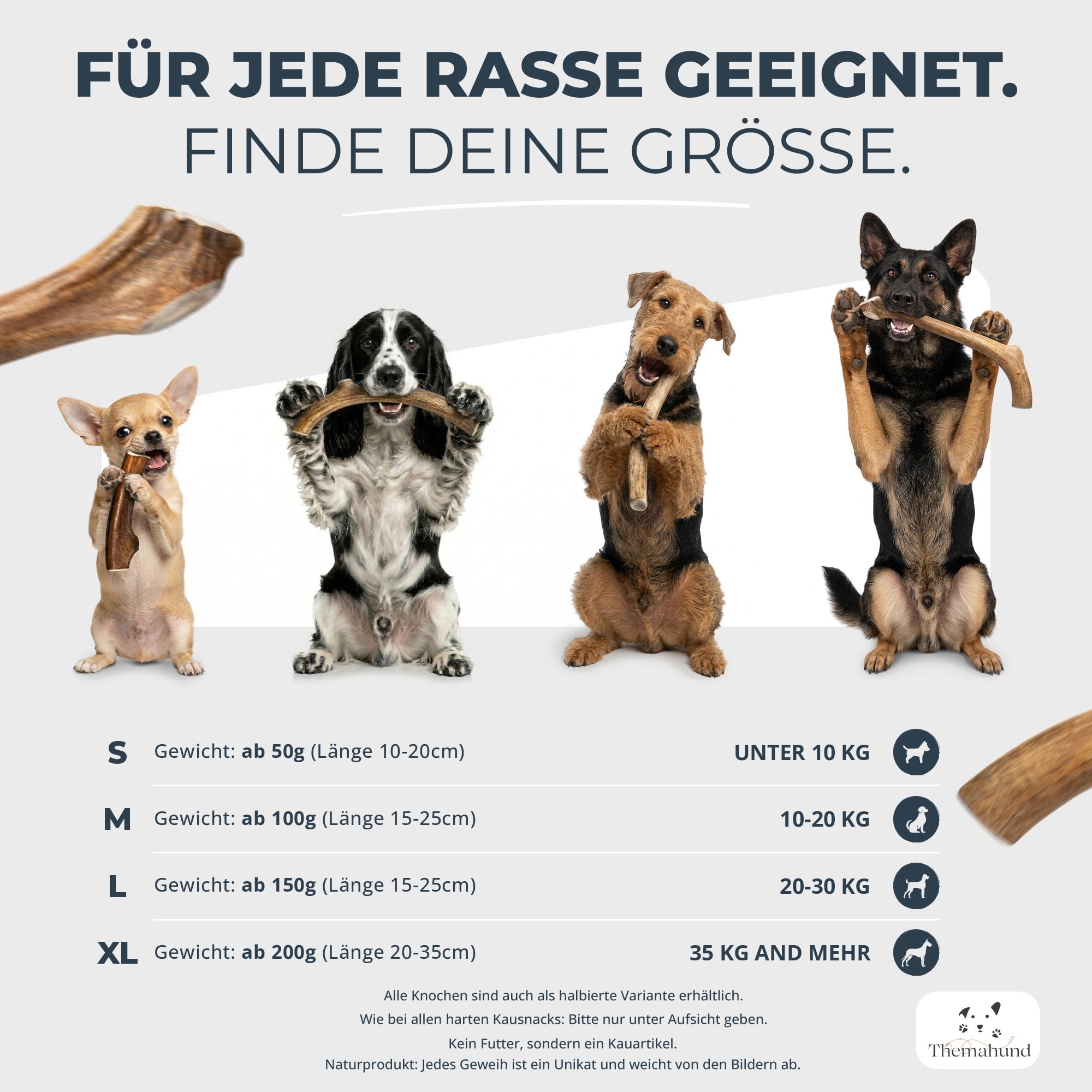 Kaugeweih Hund echtes Rentier | Alternative zu Hirschgeweih Hund & Kauknochen | Extra Lang & Robust | Perfektes Kauholz & Unzerstörbares Kauspielzeug Hunde (L, 1 Stück)