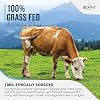Multi Collagen Protein Powder Packets - Types I, II, III, V & X - Hydrolyzed Grass Fed Bovine, Wild Caught Fish, Free-Range Chicken & Eggshell Collagen (10g Each, 20 Packets) by Revive Naturals